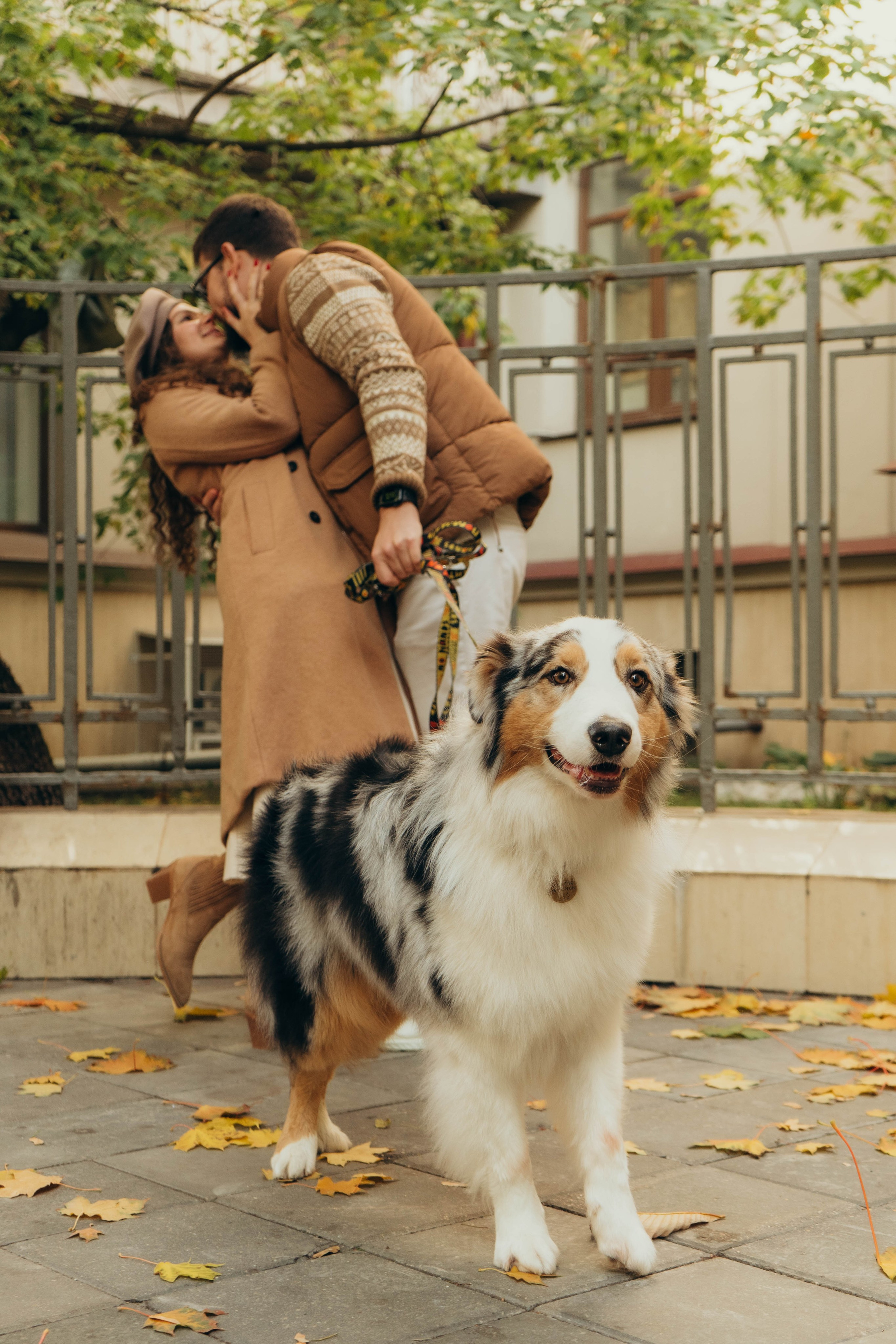 Аня, Влад и Джонни