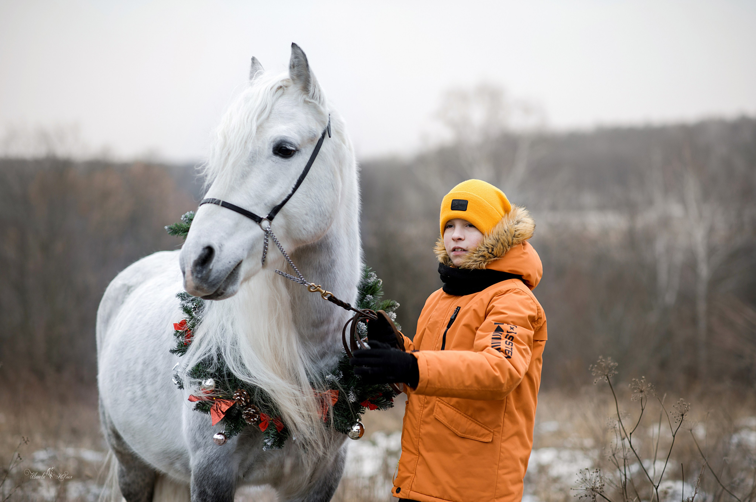 Дети и Вымпел. Конный фотограф в Саратове Юлия Иванова