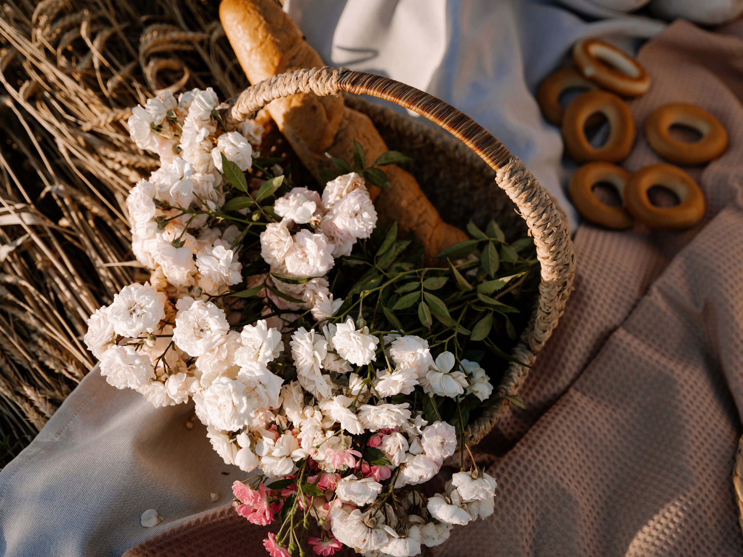 Семейные фотосессии…. Свадебный и семейный фотограф в Краснодаре, Анапе