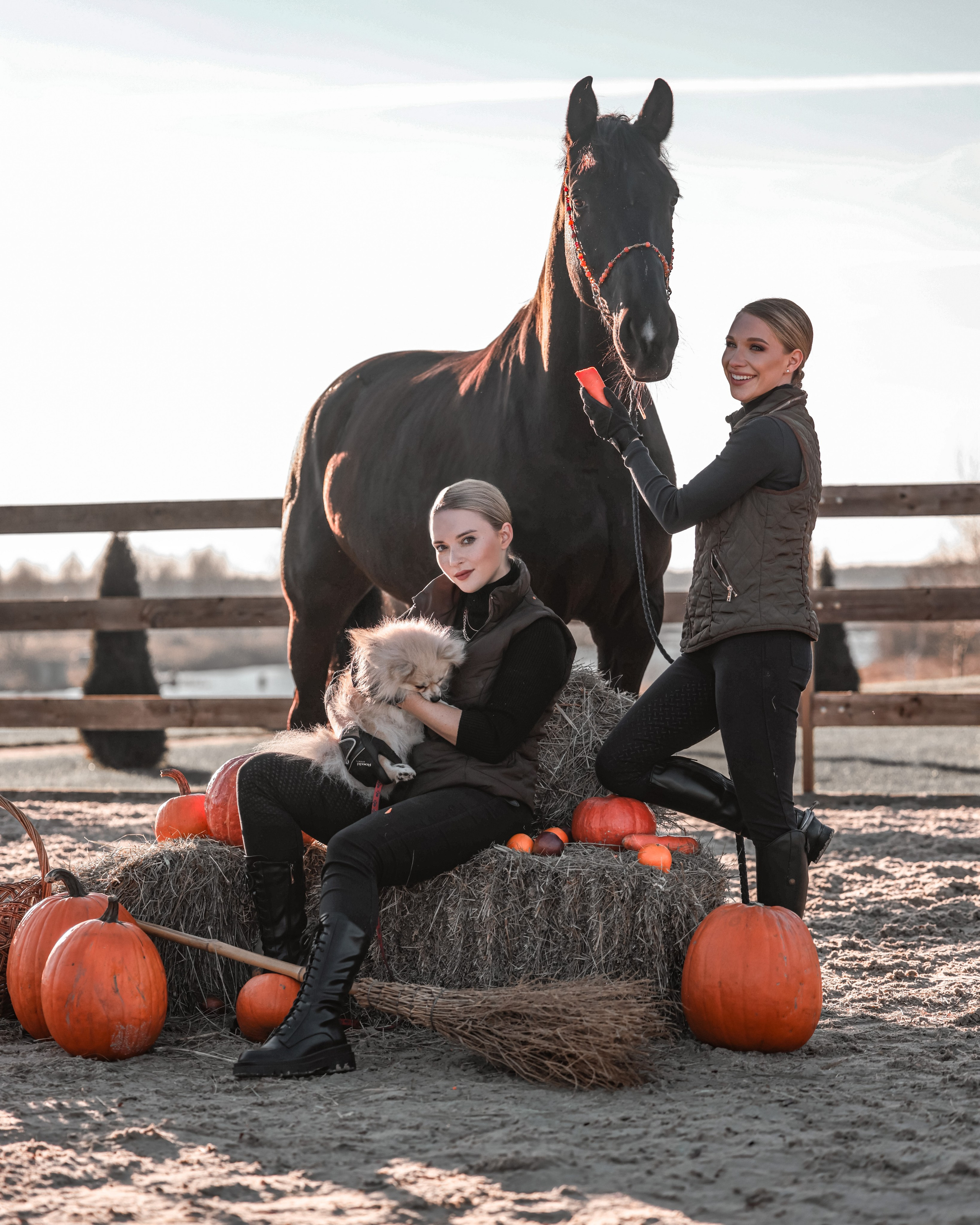 КСК Ждановское фотосессия. Фотосессии с лошадьми