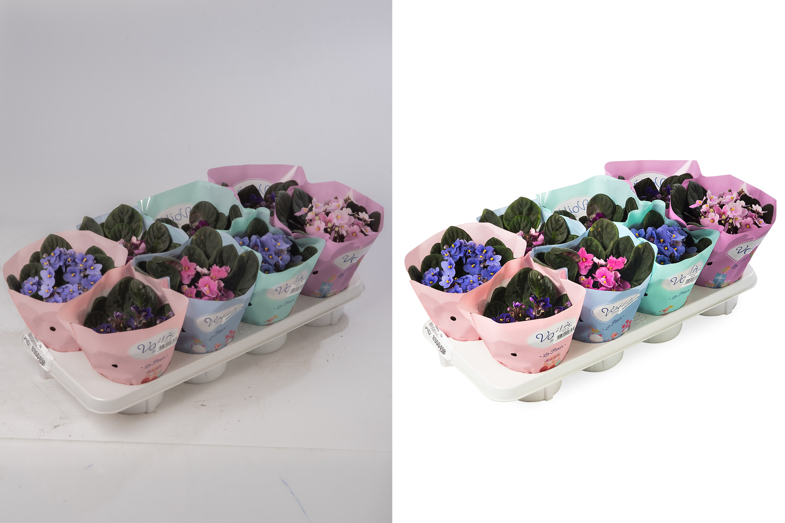 Ретушь растений и овощей | Студия SVITHART