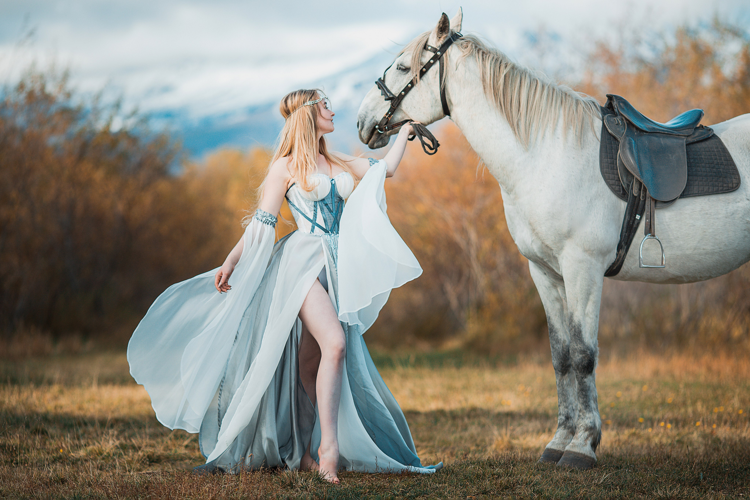 Фото с лошадьми. Обо мне