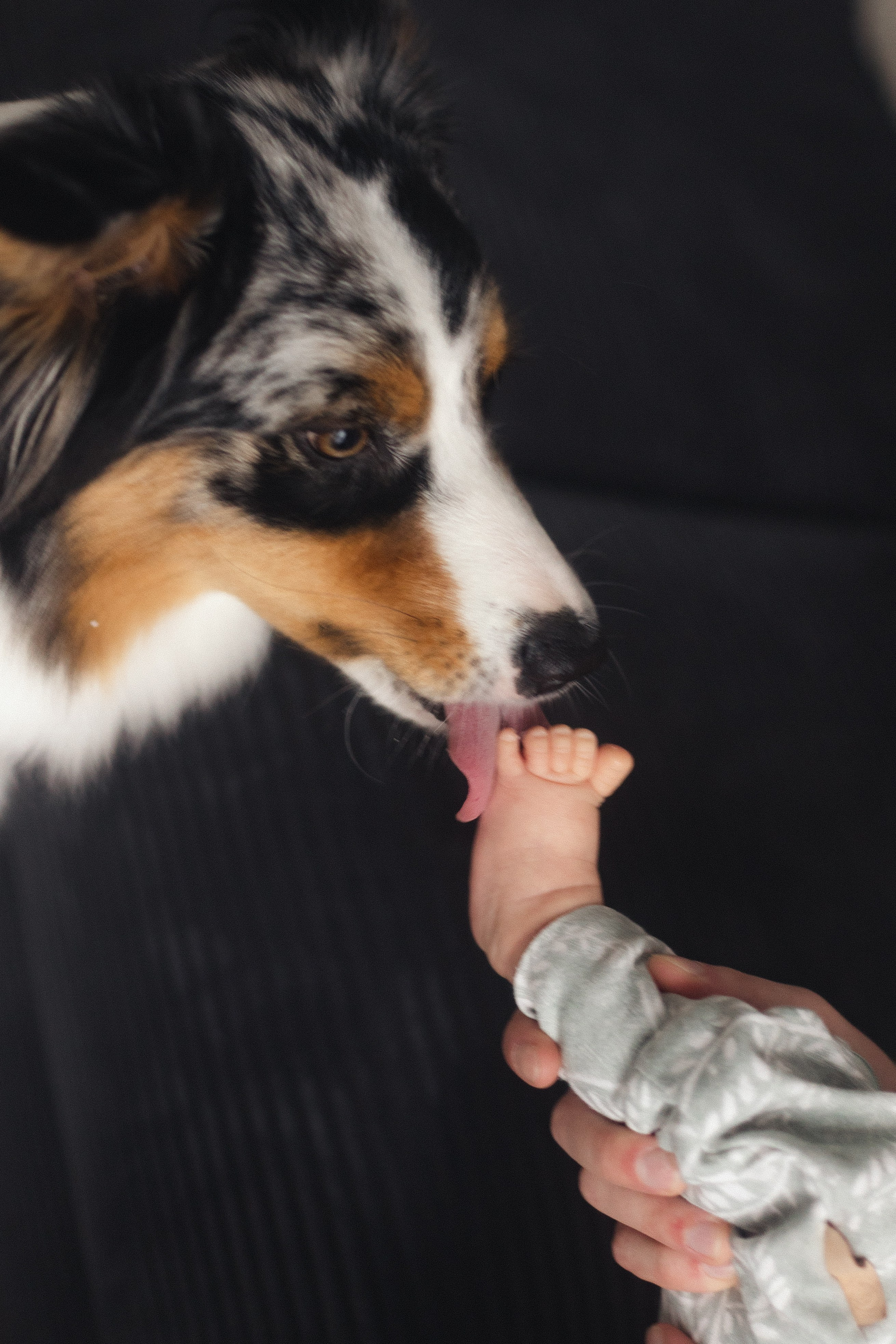 Появление брата. Фотограф из Петербурга