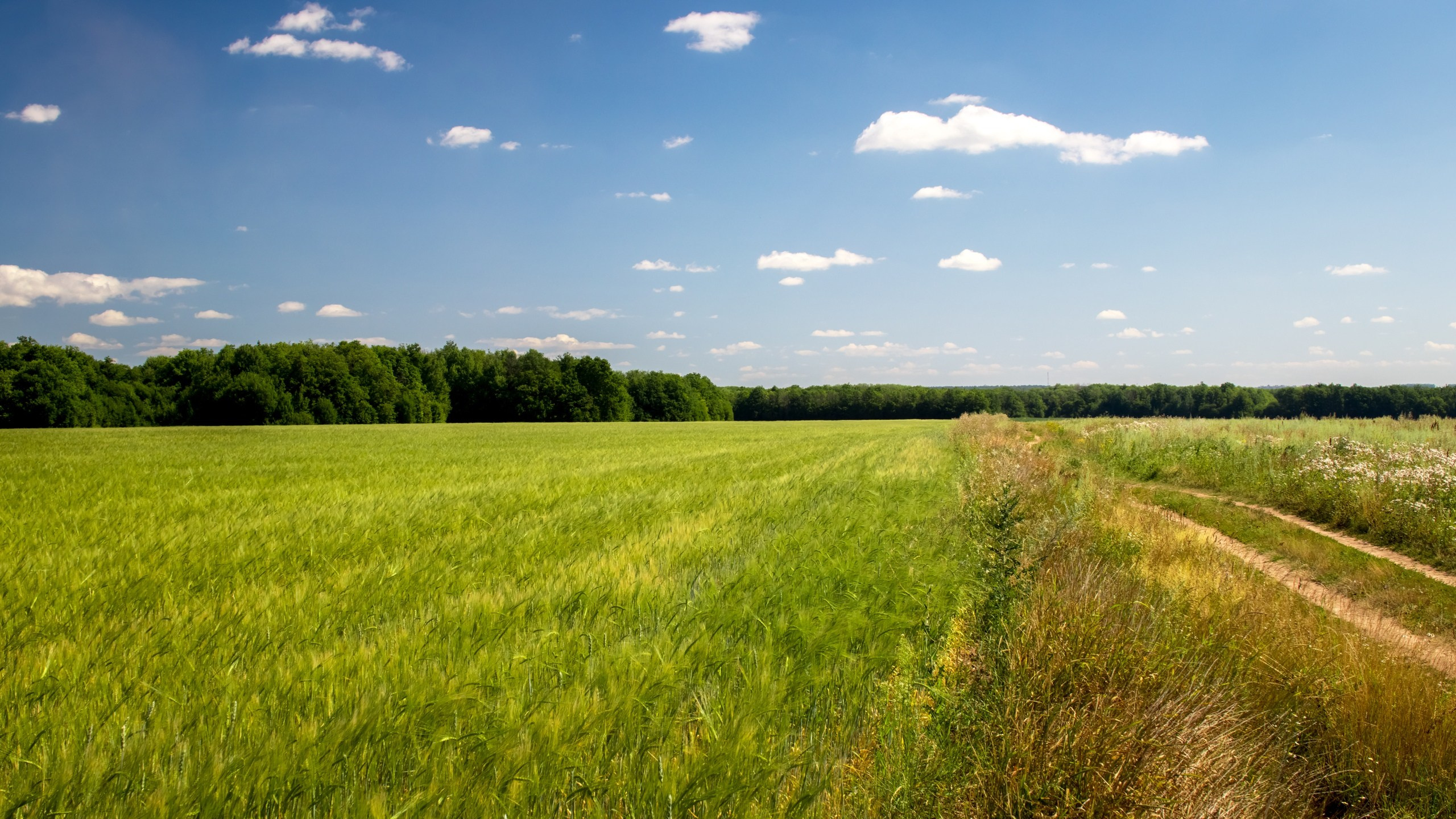 Пейзажная фотосъемка. Владимир Суздалов (ProMaXe) — Портретный фотограф, тематические фотосессии в Чебоксарах