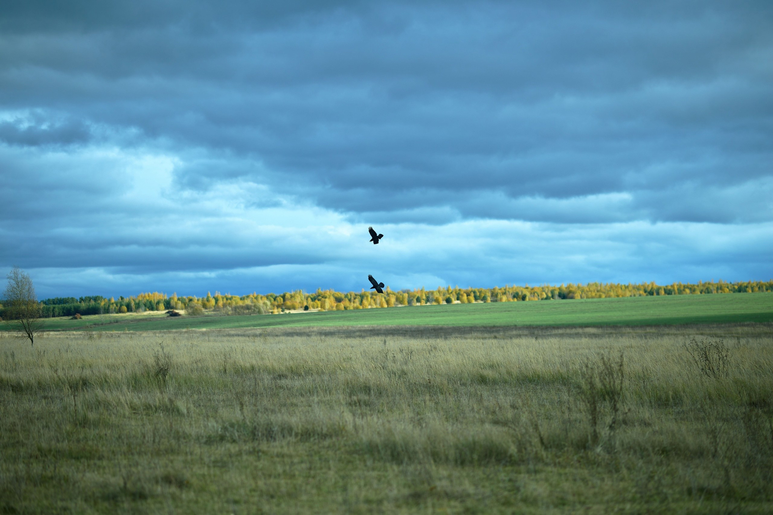 Пейзажная фотосъемка. Владимир Суздалов (ProMaXe) — Портретный фотограф, тематические фотосессии в Чебоксарах
