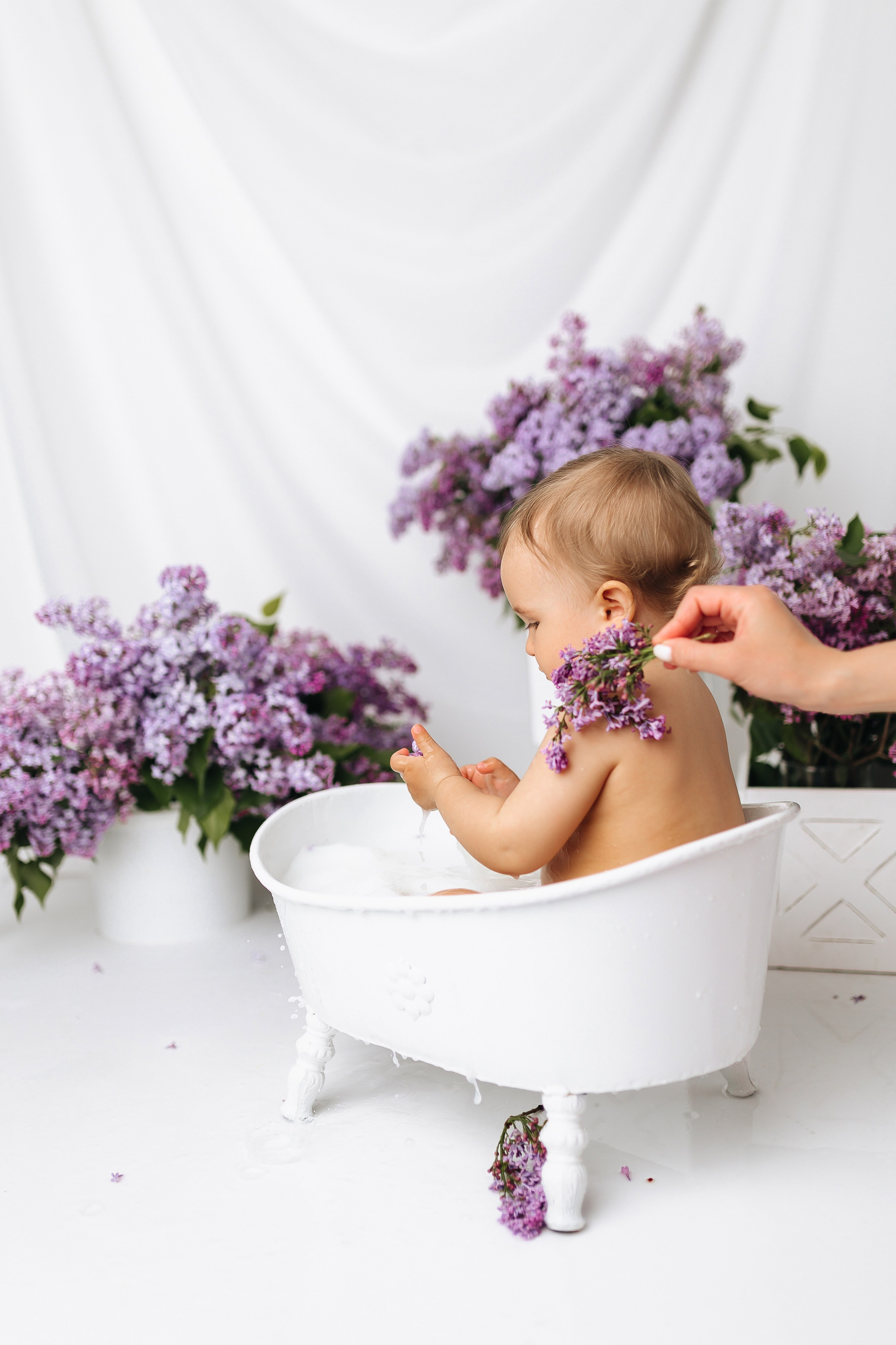 Сирень 2025. Фотограф новорожденных Серпухов, Протвино, Москва I Марина Бурмистрова