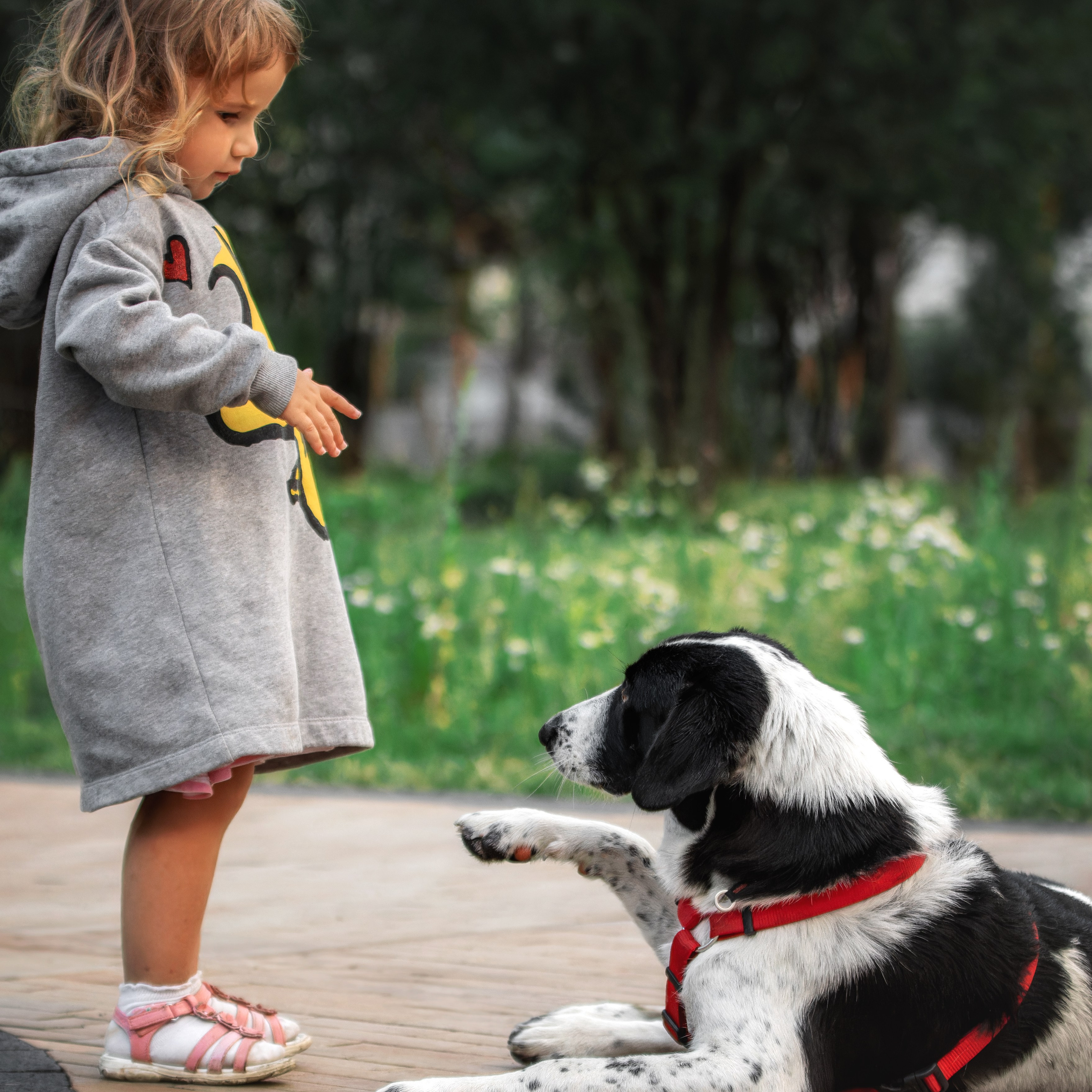Отзывы. Фотограф-анималист Юлия Зубкова