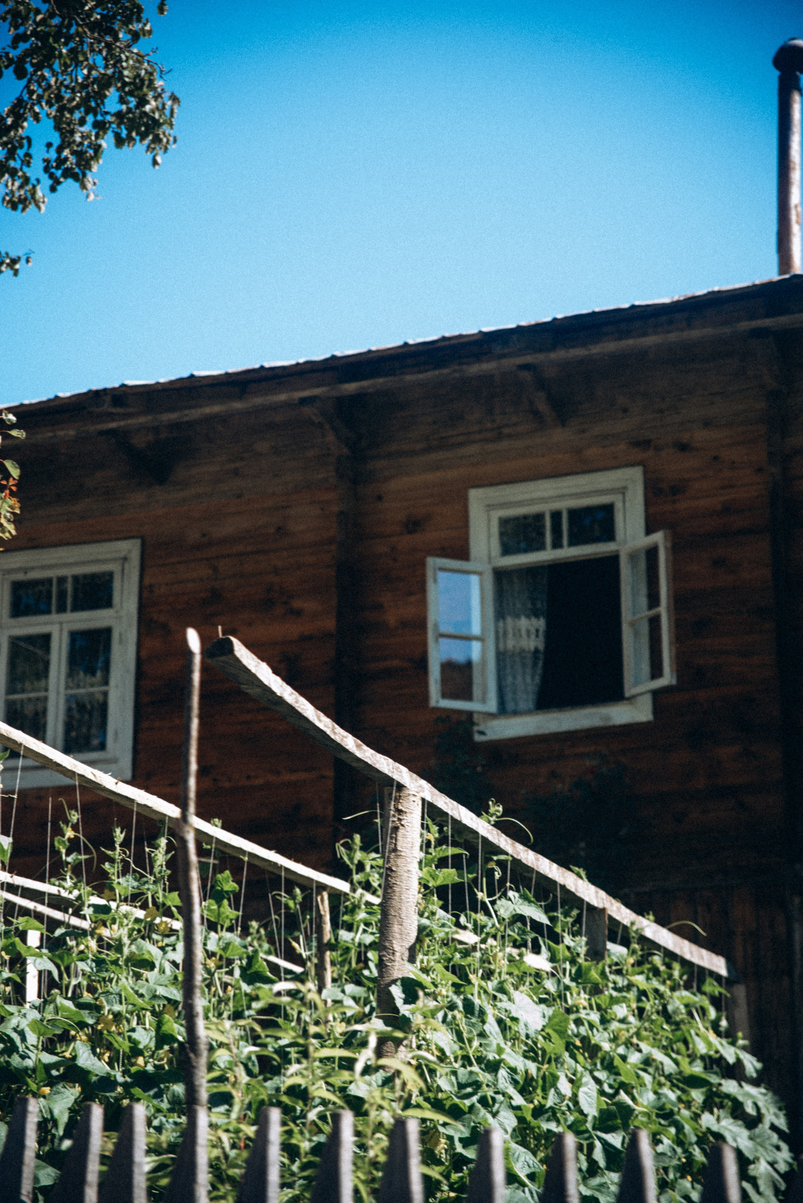 Верхняя Аджария, Грузия 🇬🇪. Anita_photo