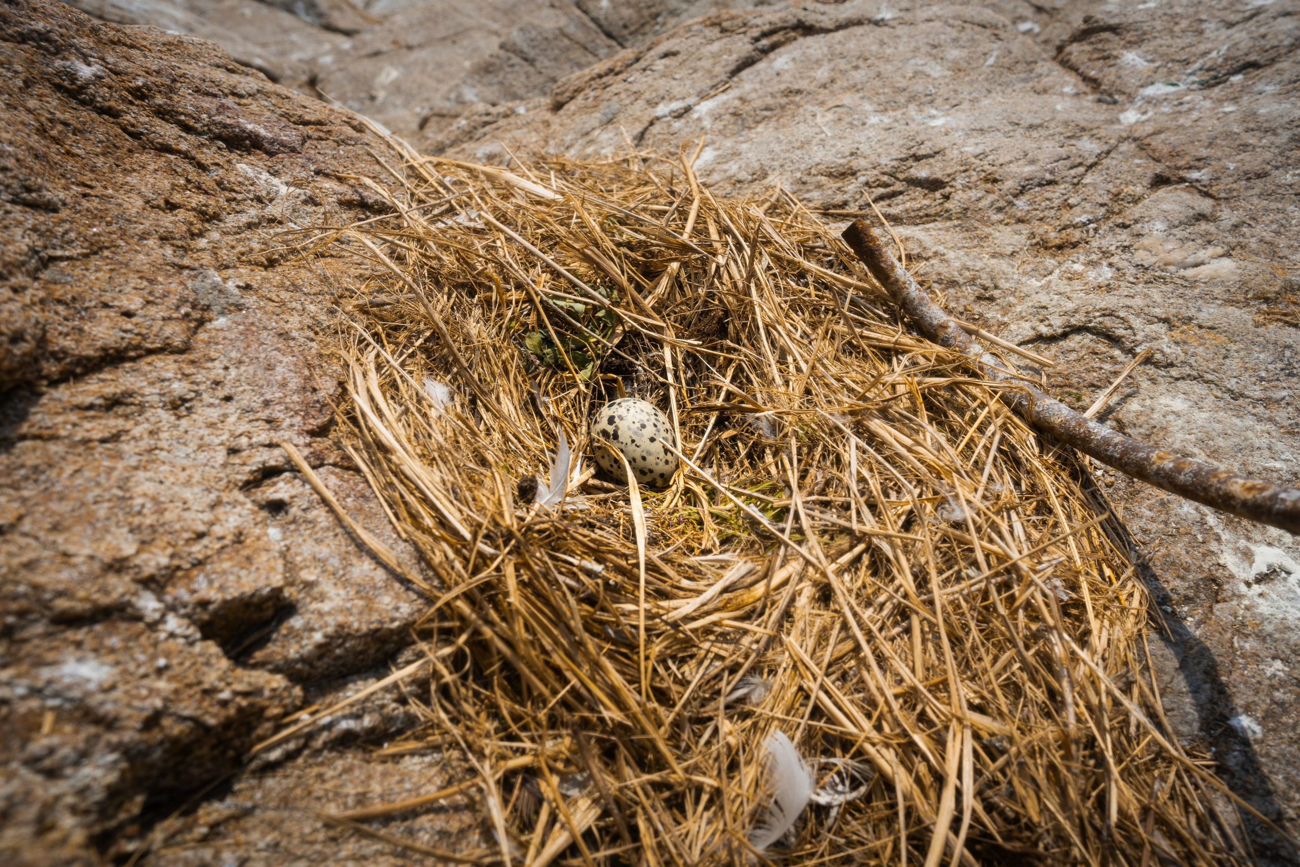 游览阿尼瓦灯塔. Ivan Zaitsev (IZIART) — 通过照片和视频创建文化代码