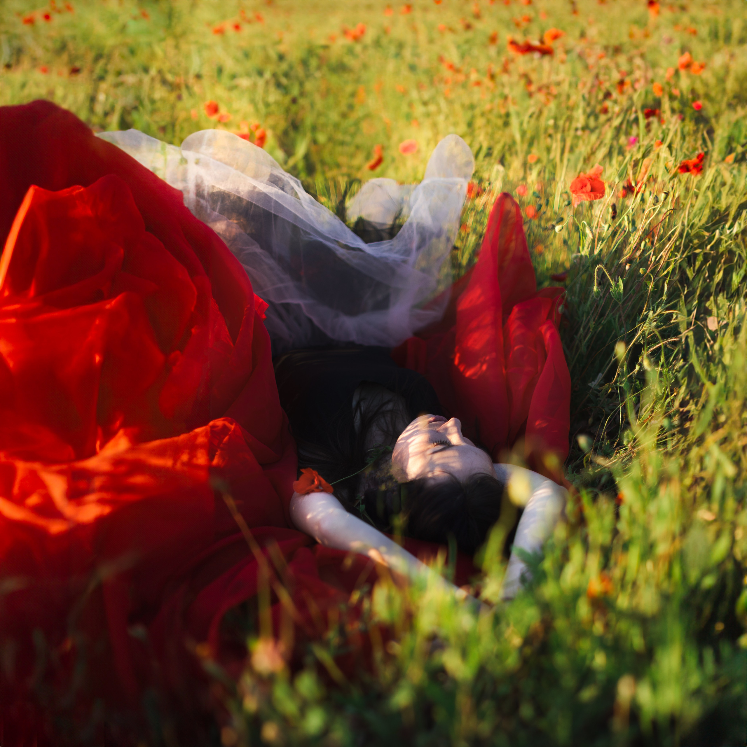 Портреты. Портретная и семейная съемка. Фотограф анималист