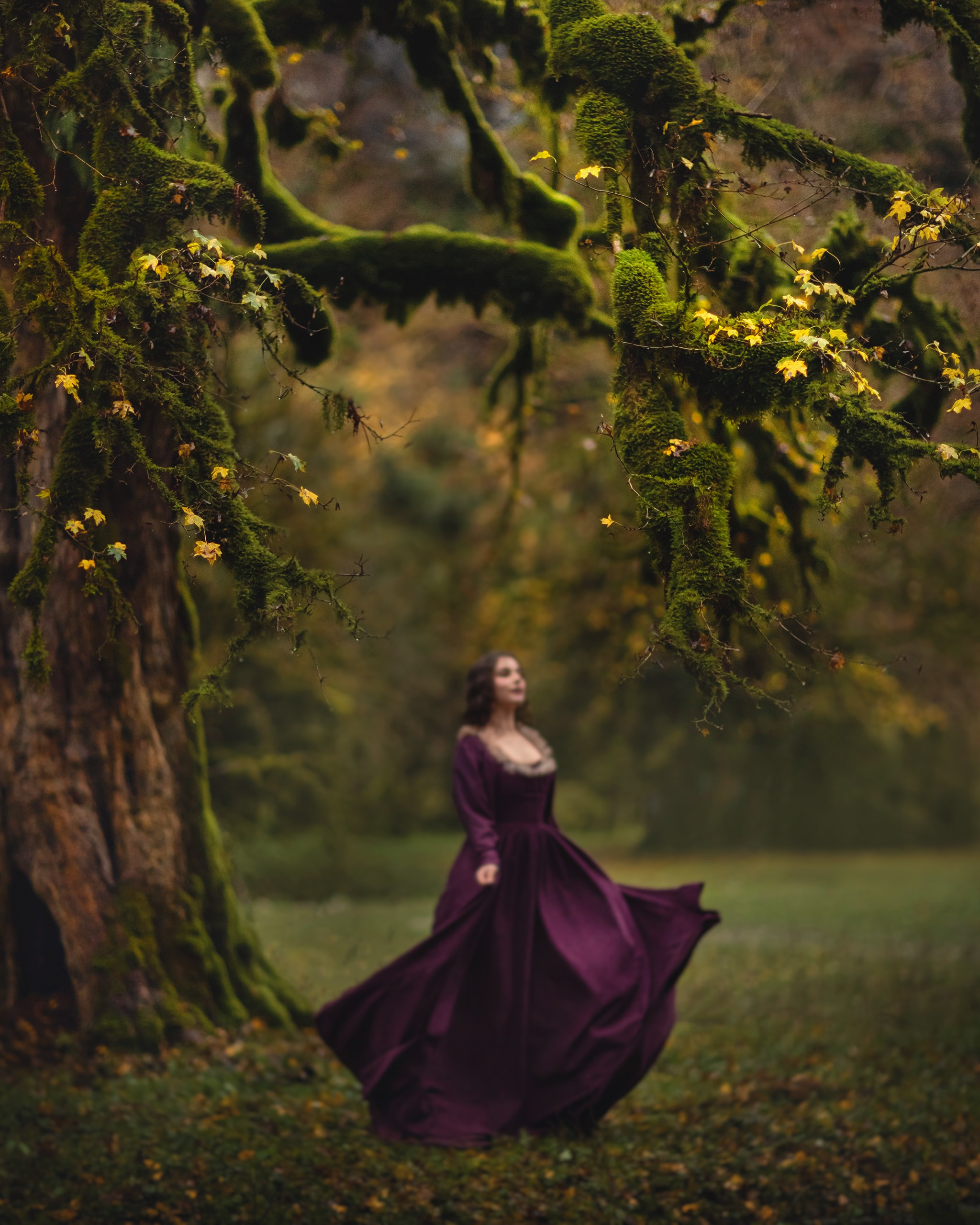 Самшитовый лес. Детский и семейный фотограф Елена Михайлова в Москве