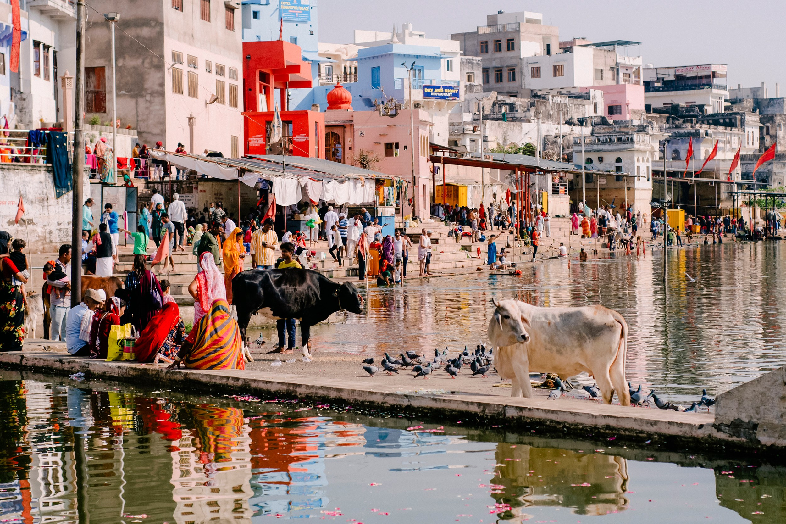 Pushkar street. Iraogo