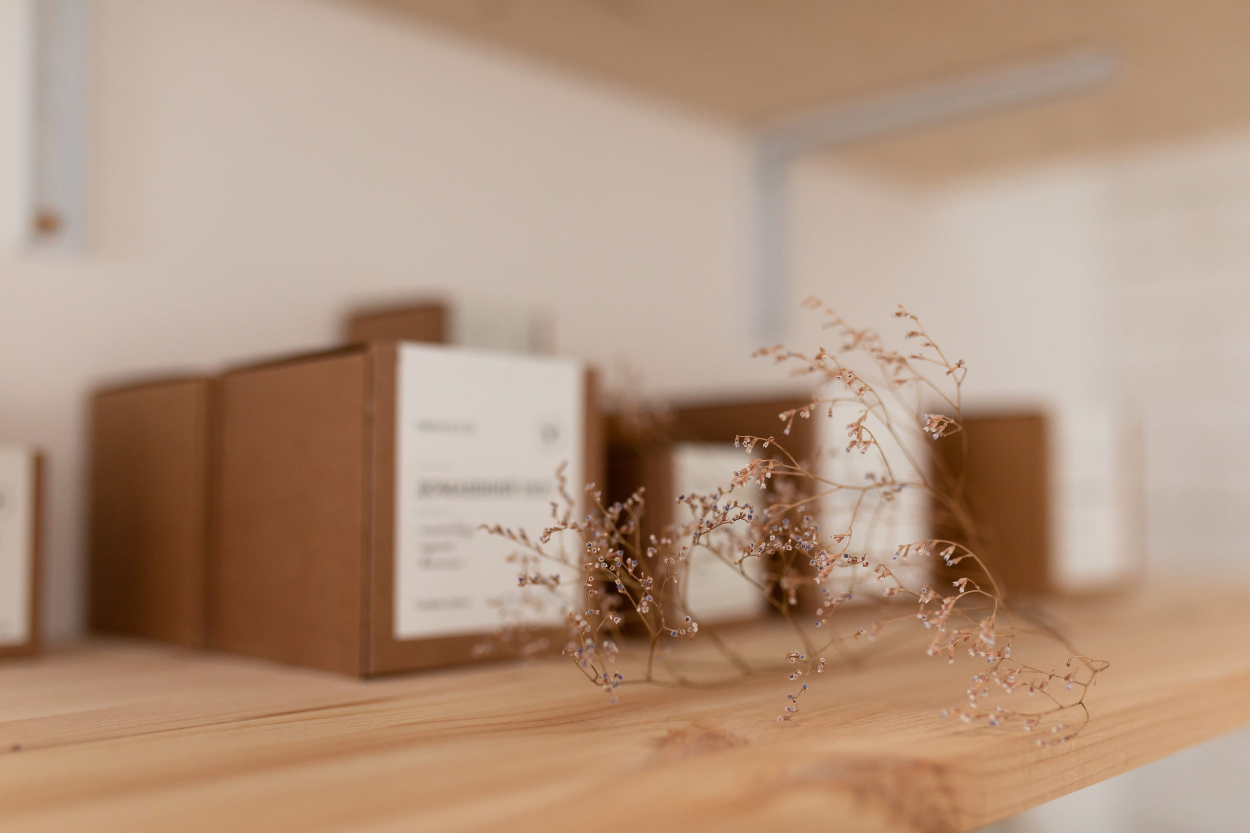 Ольга. Главная