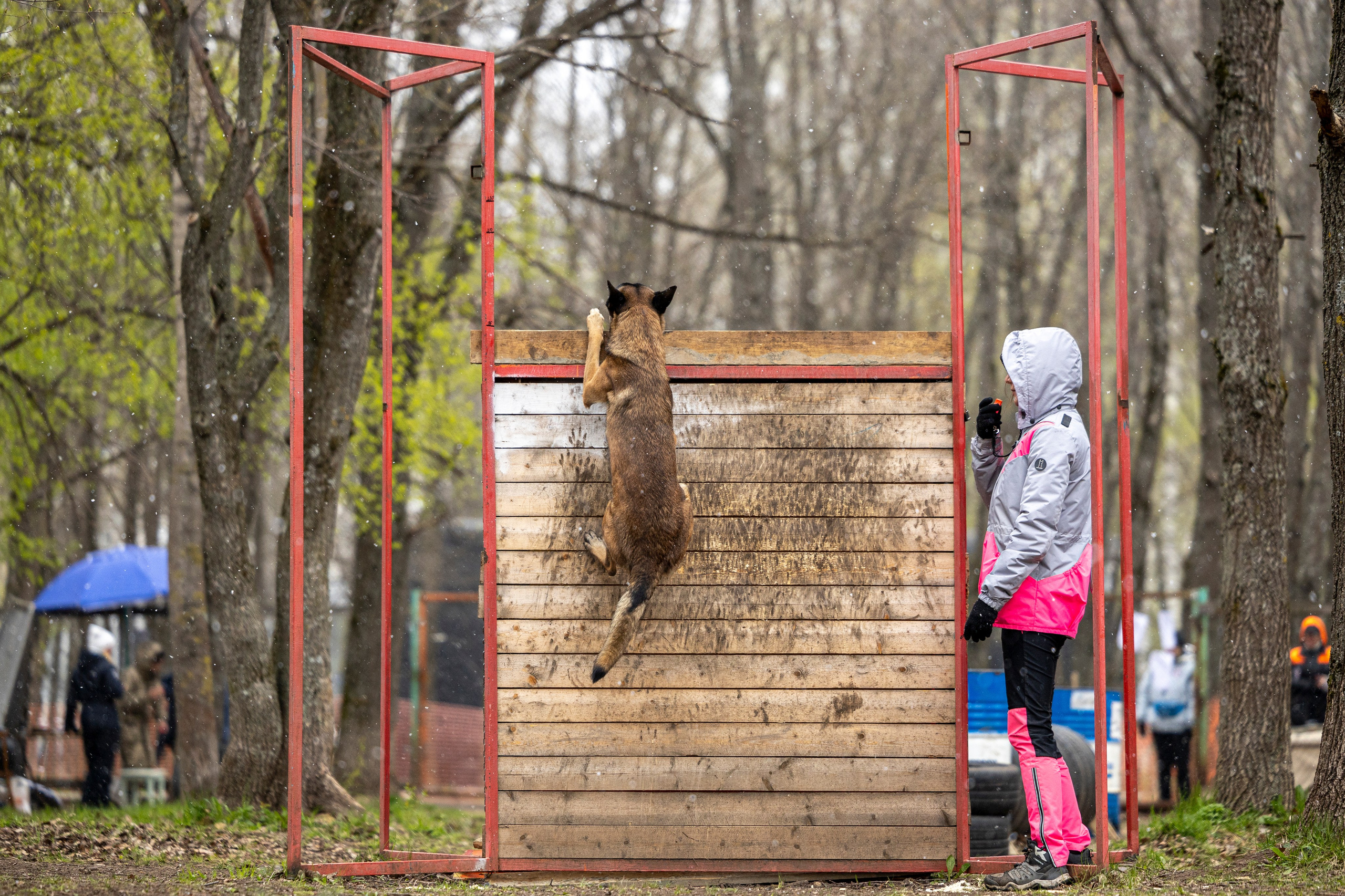 Квалификационные состязания по мондьорингу г. Вологда 11.05.24. Фотограф-анималист Анна Маринич