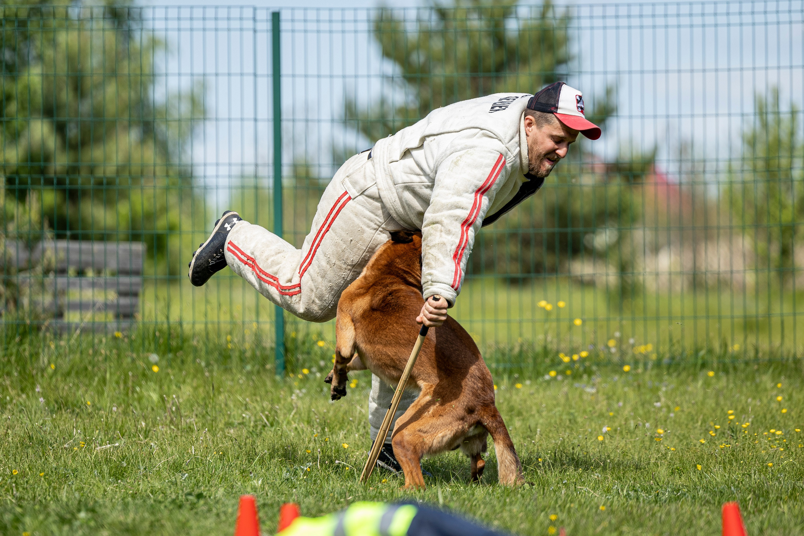 Испытания по мондьорингу в Нижнем Новгороде. Фотограф-анималист Анна Маринич