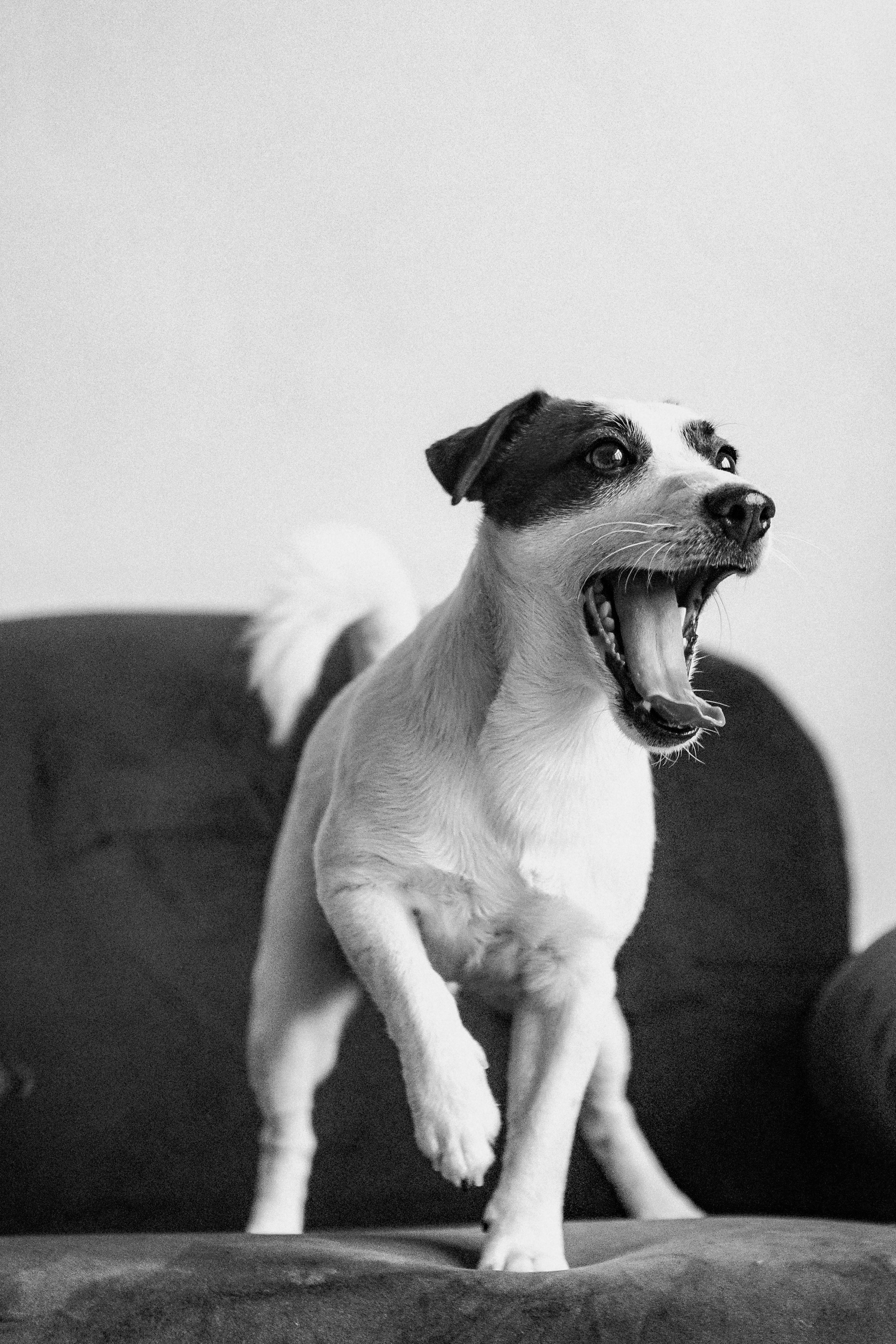 2024.03.24 Танюша, Руслан и Боба. Ирина Бешляга. Фотограф в Москве и по всей России