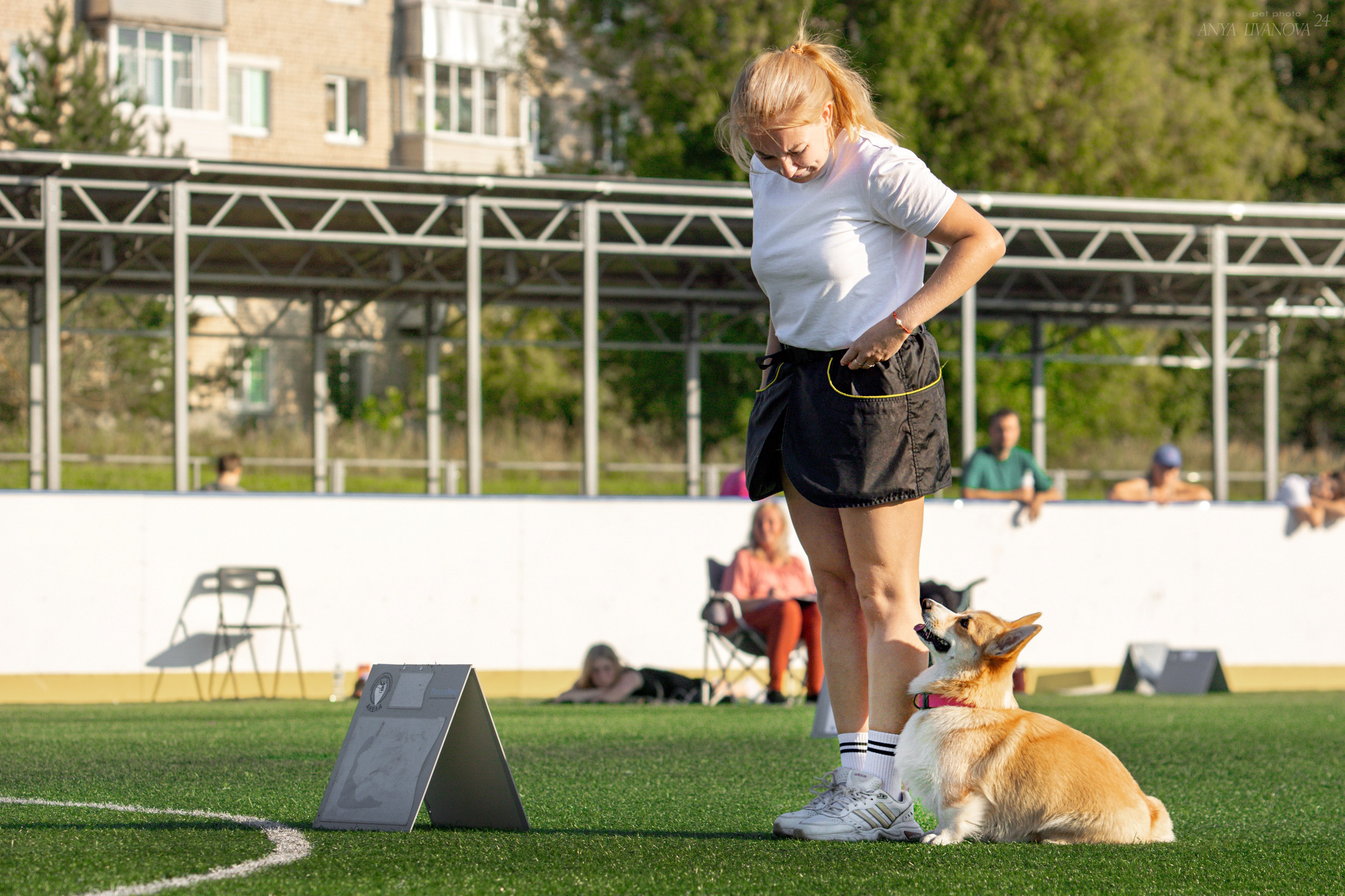 Ралли обидиенс. Фотограф анималист Аня Ливанова | Рыбинск
