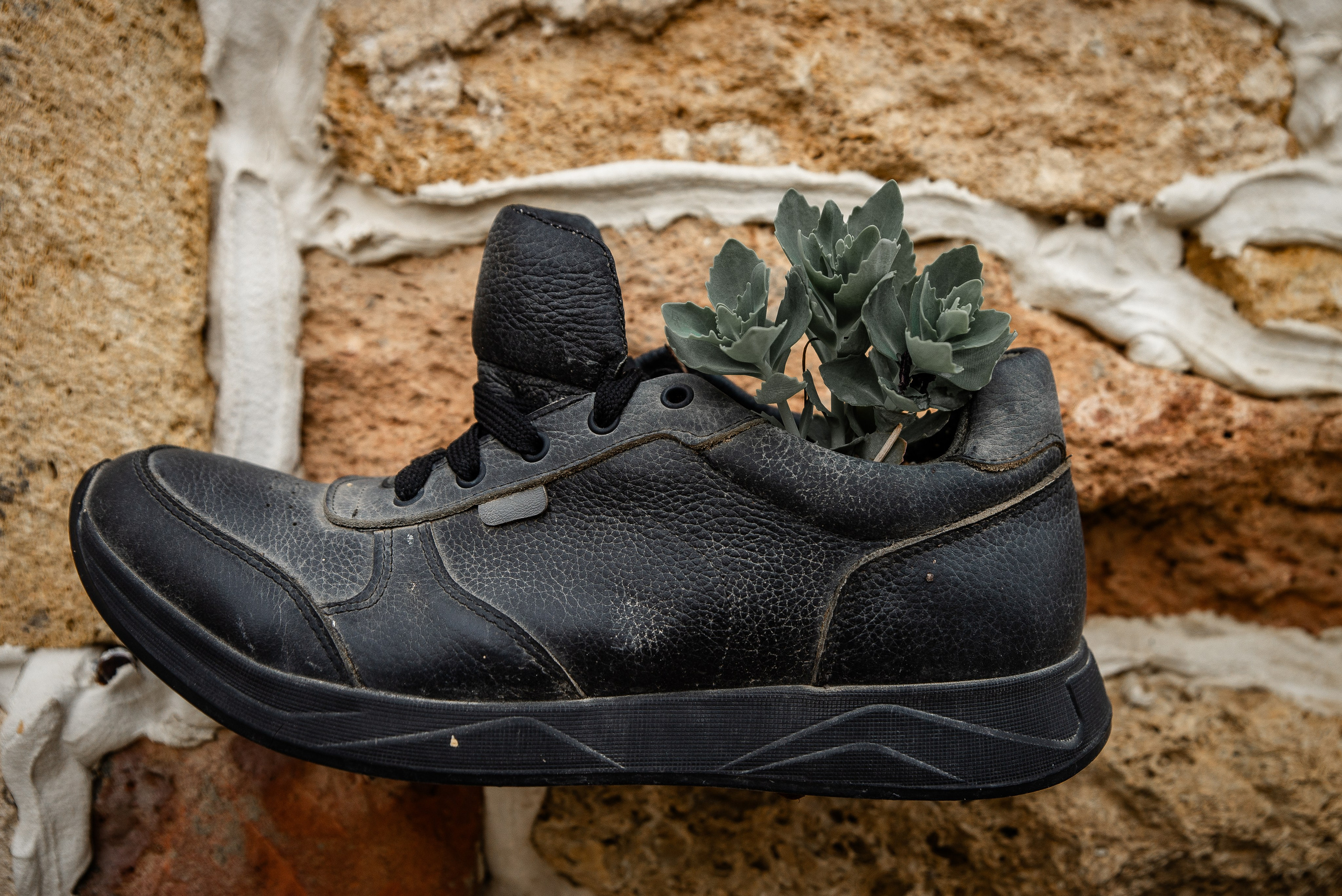 Дагестан. Фотограф Крещение Венчание Москва