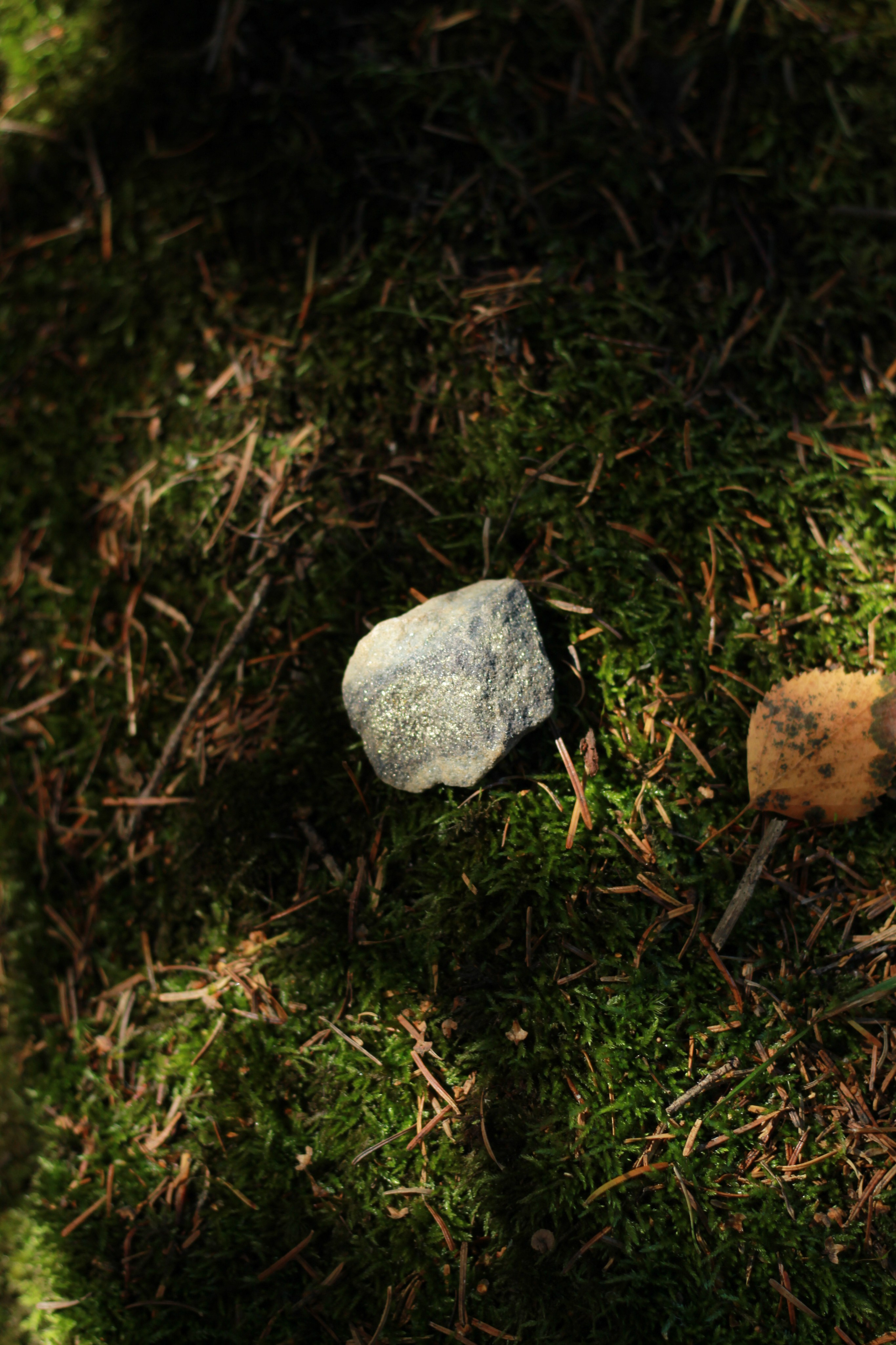 Фотограф в туре Света Сергеева