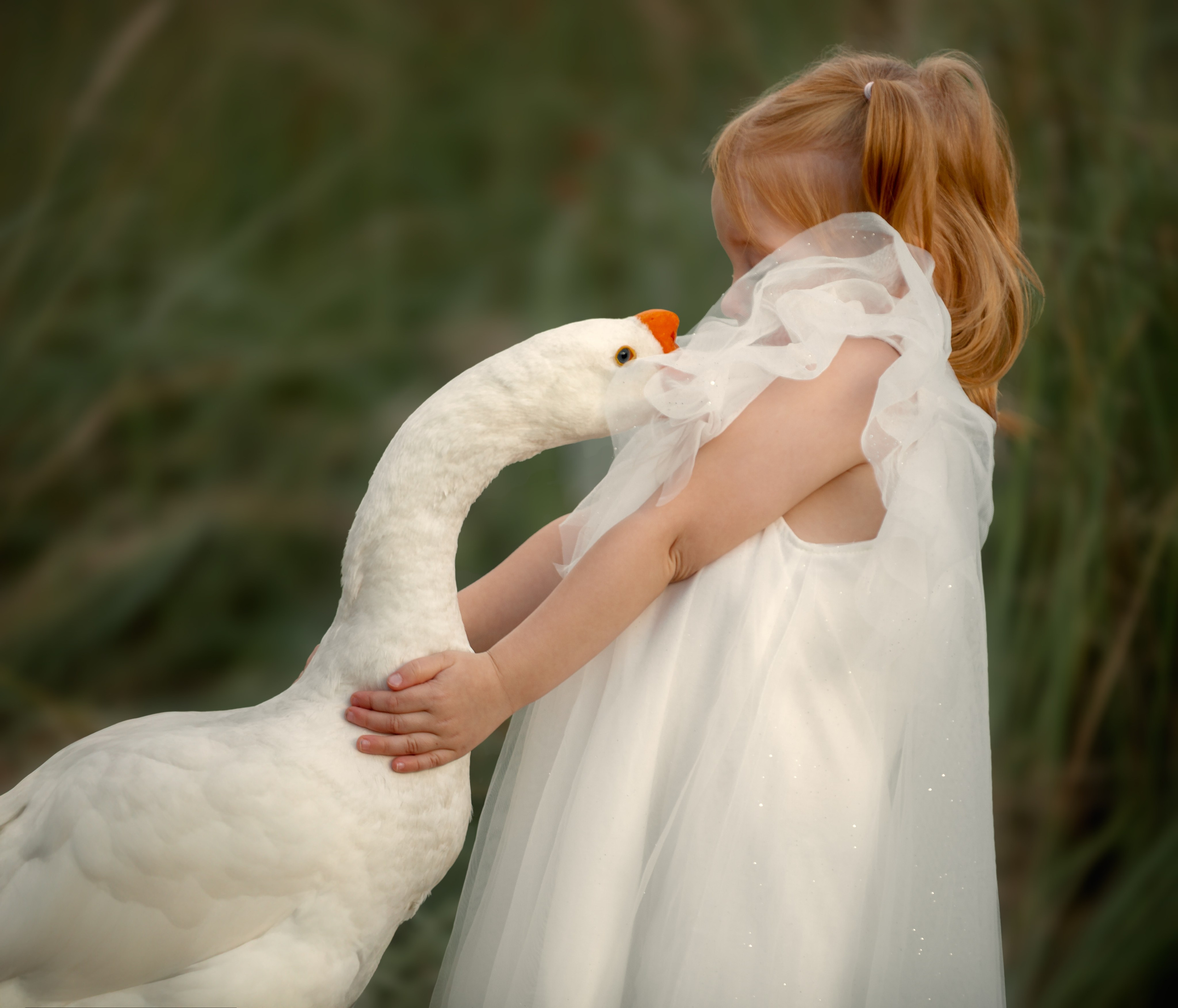 Семейная съёмка. Фотограф и видеограф в Москве Оля Штукерт