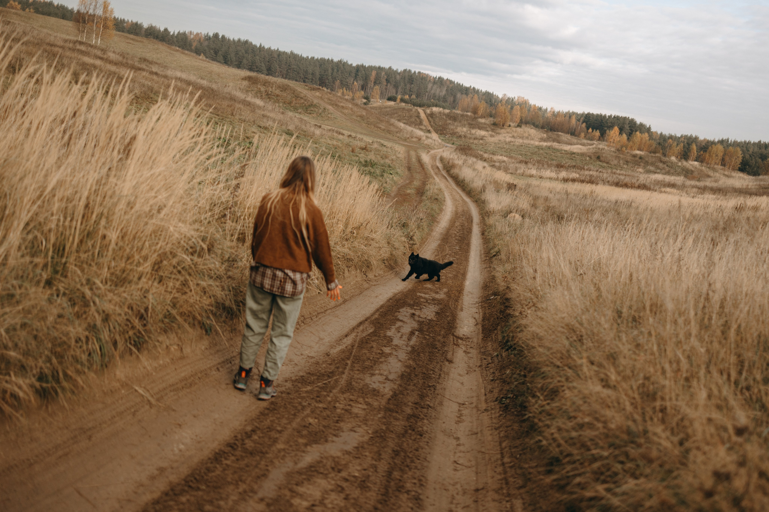 Лора и Джанго. Фотограф — Анималист | Санкт-Петербург