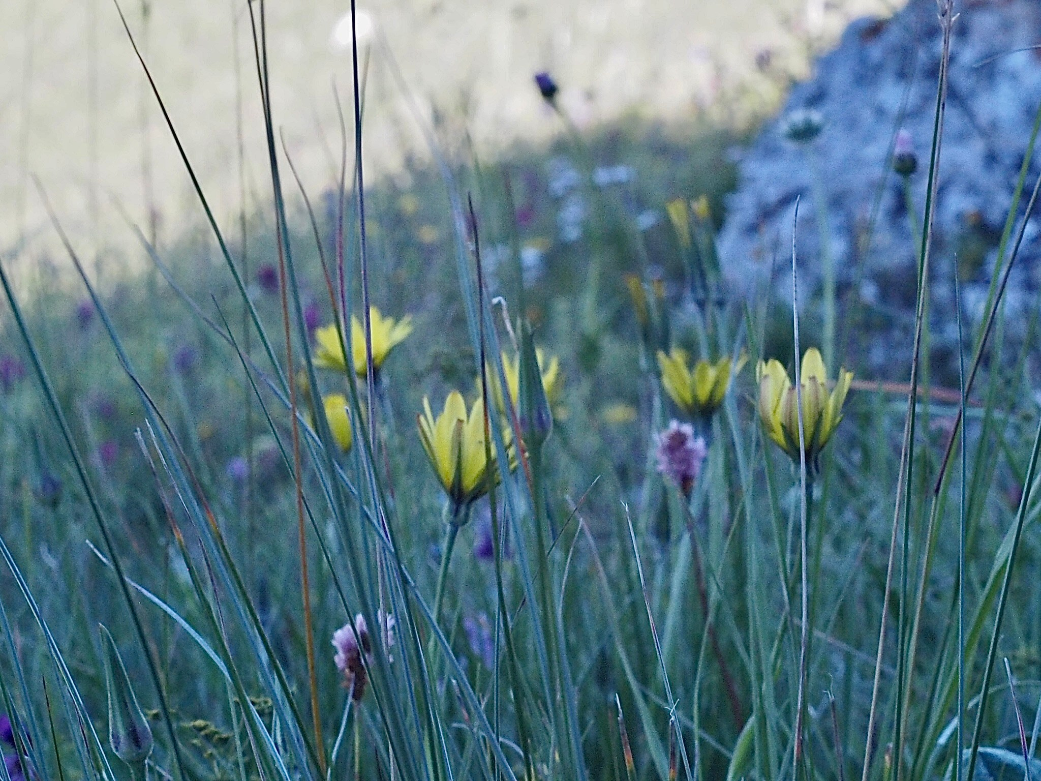 Флора и фауна. Смотри, красота!