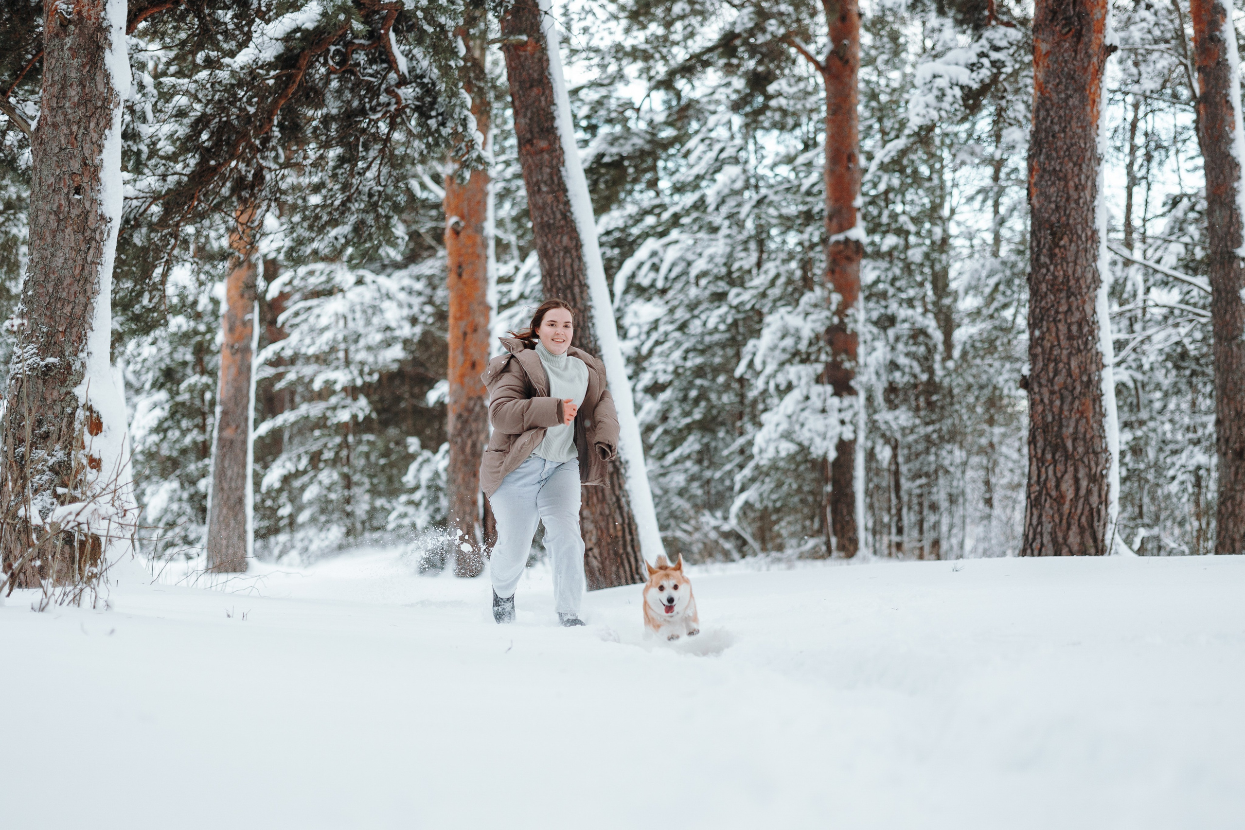Оливка и ее семья. Фотограф — Анималист | Санкт-Петербург