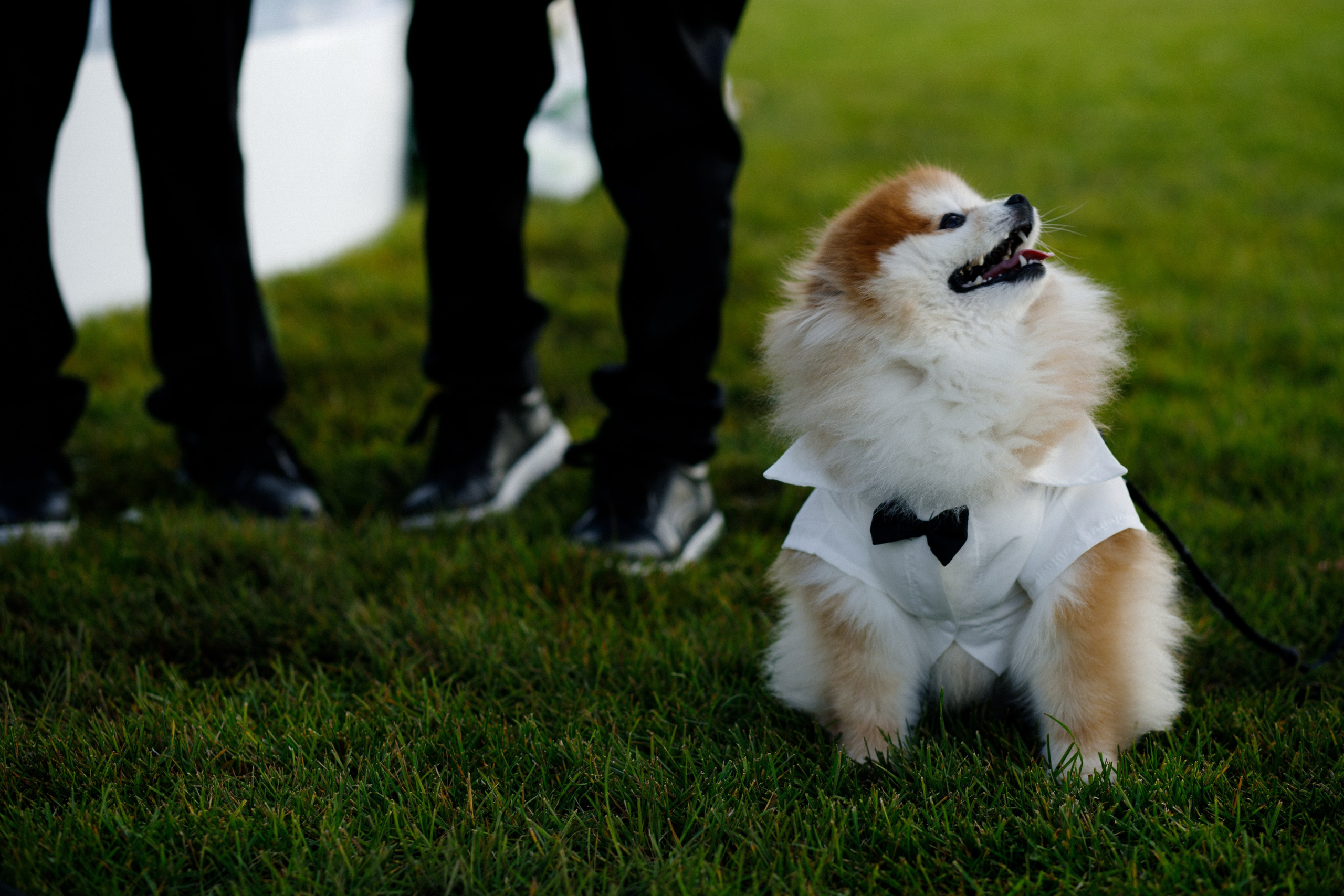 Артур и Аида. Фотограф Диана Хасанова, г. Казань