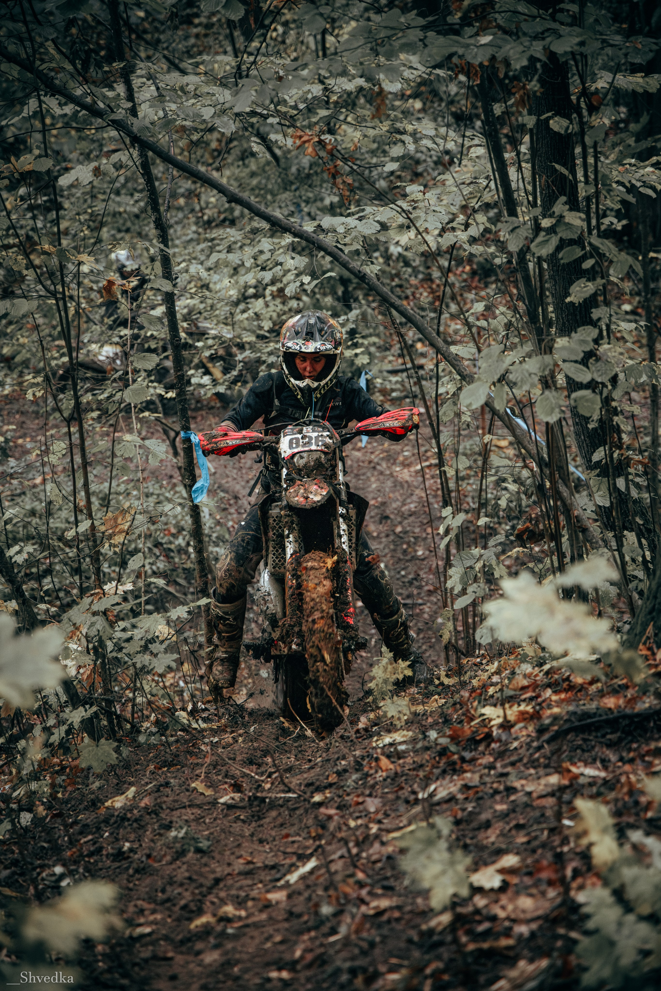 1 день. Ваш экстрим фотограф Кудрева Яна