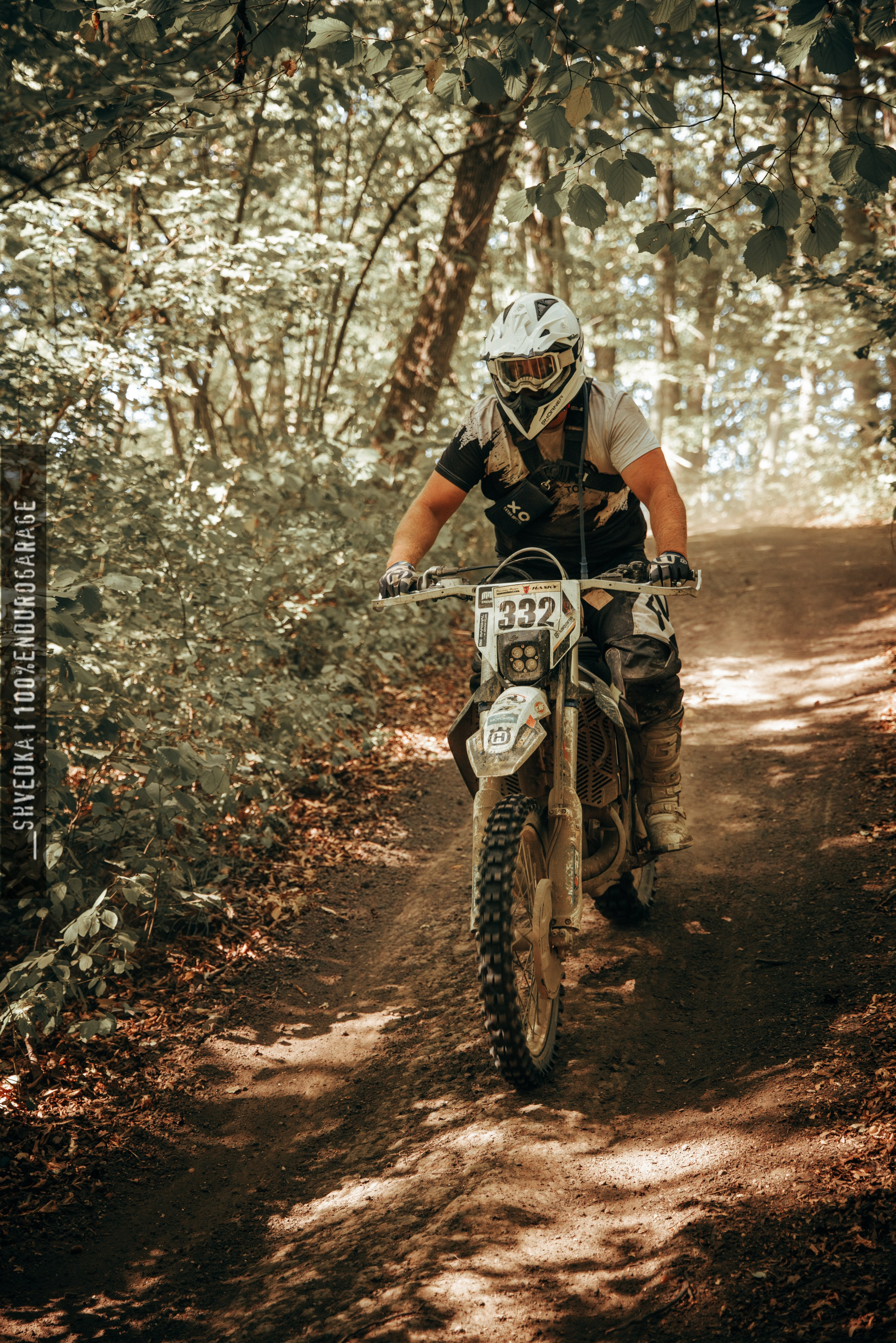 2 лесной день. Ваш экстрим фотограф Кудрева Яна