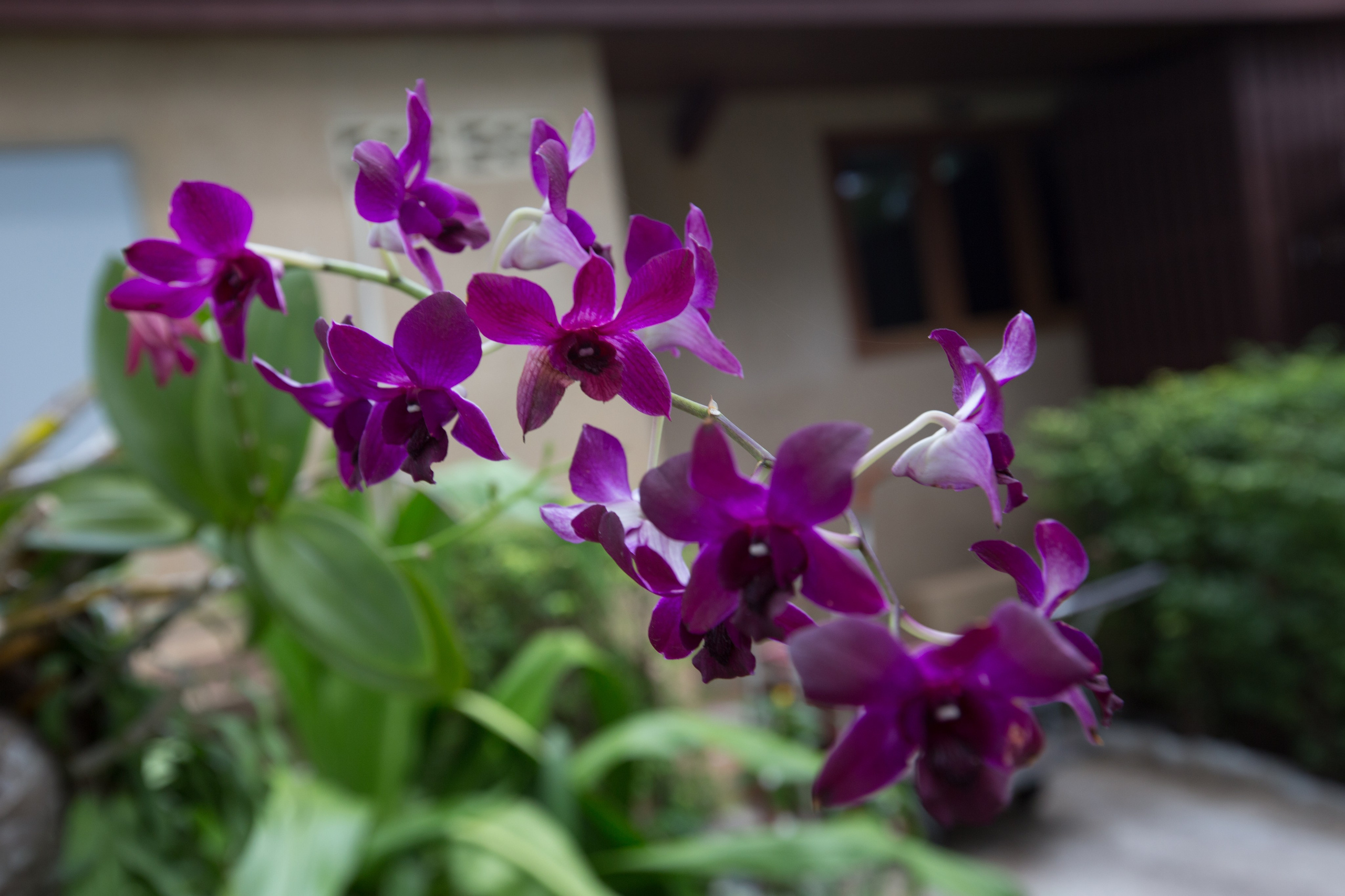 Фото Тайланда. Студия Максима Белослюдцева