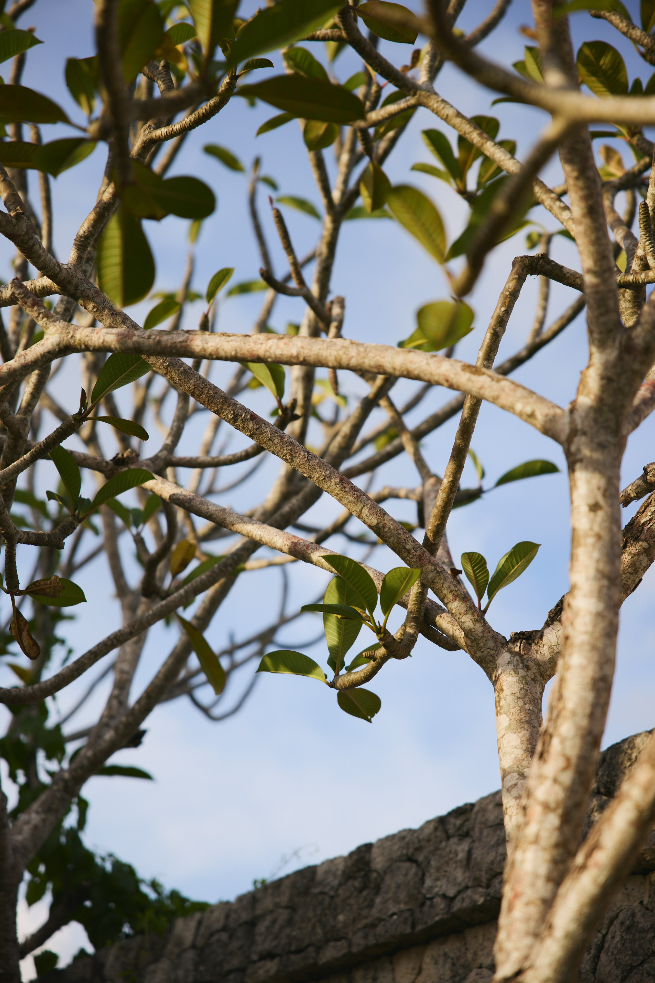 Ретрит Бали '26 «Be Your Own Muse»Март. Профессиональный фотограф Татьяна Евглевская