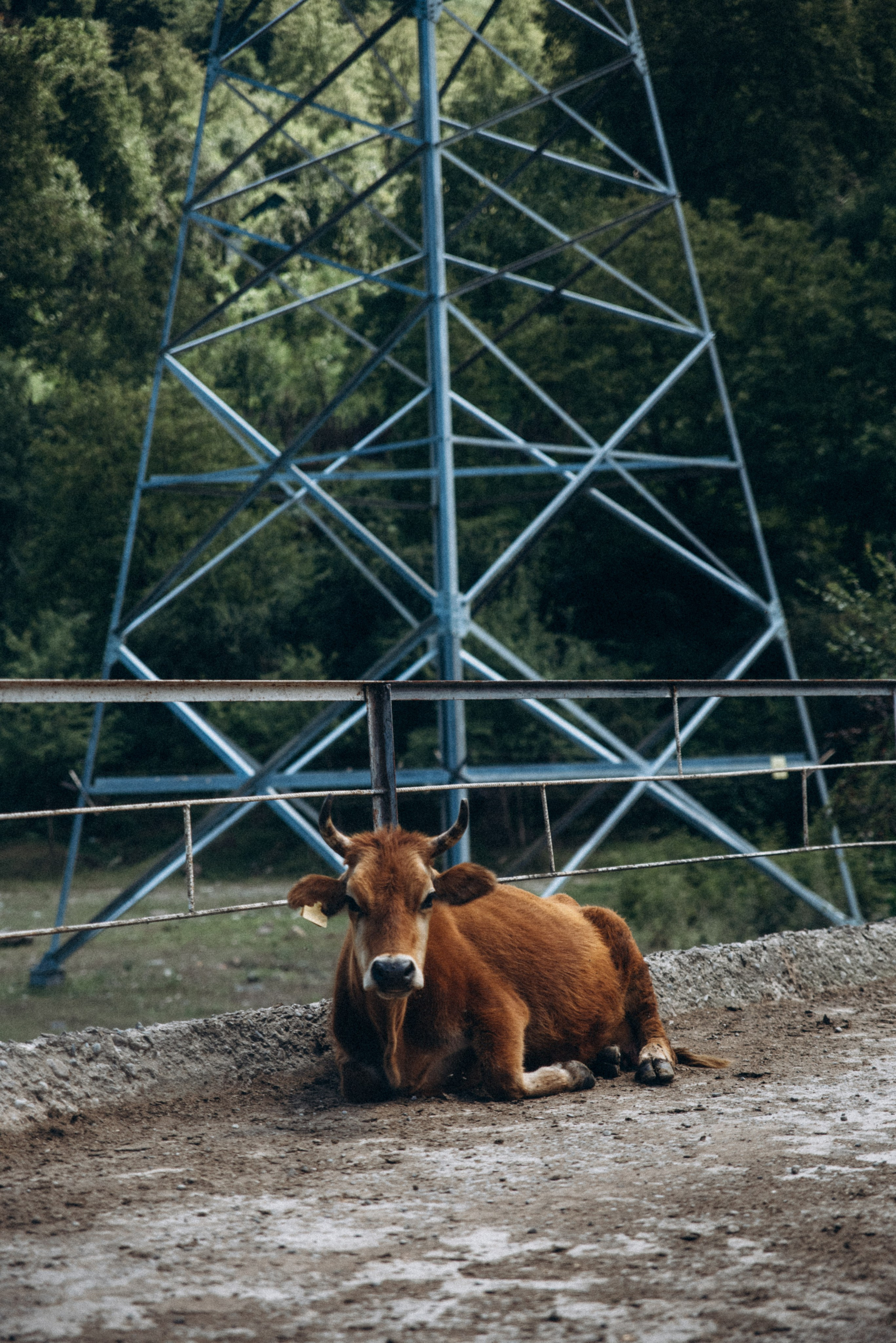 Верхняя Аджария, Грузия 🇬🇪. Anita_photo