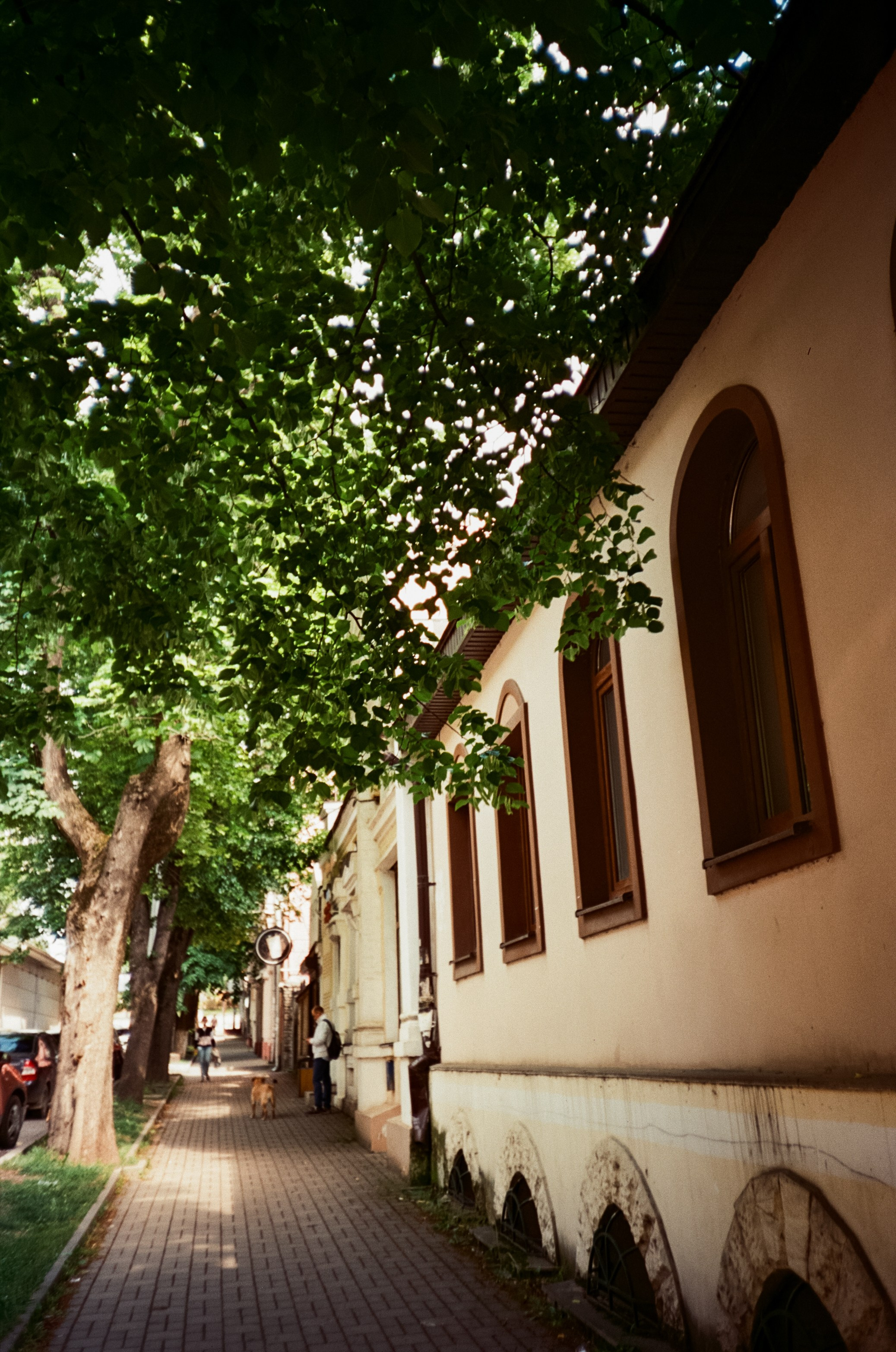 Стрит в солнечном Пятигорске. Парк Победы и Новопятигорское озеро. Фотограф-документалист Мария Осокина