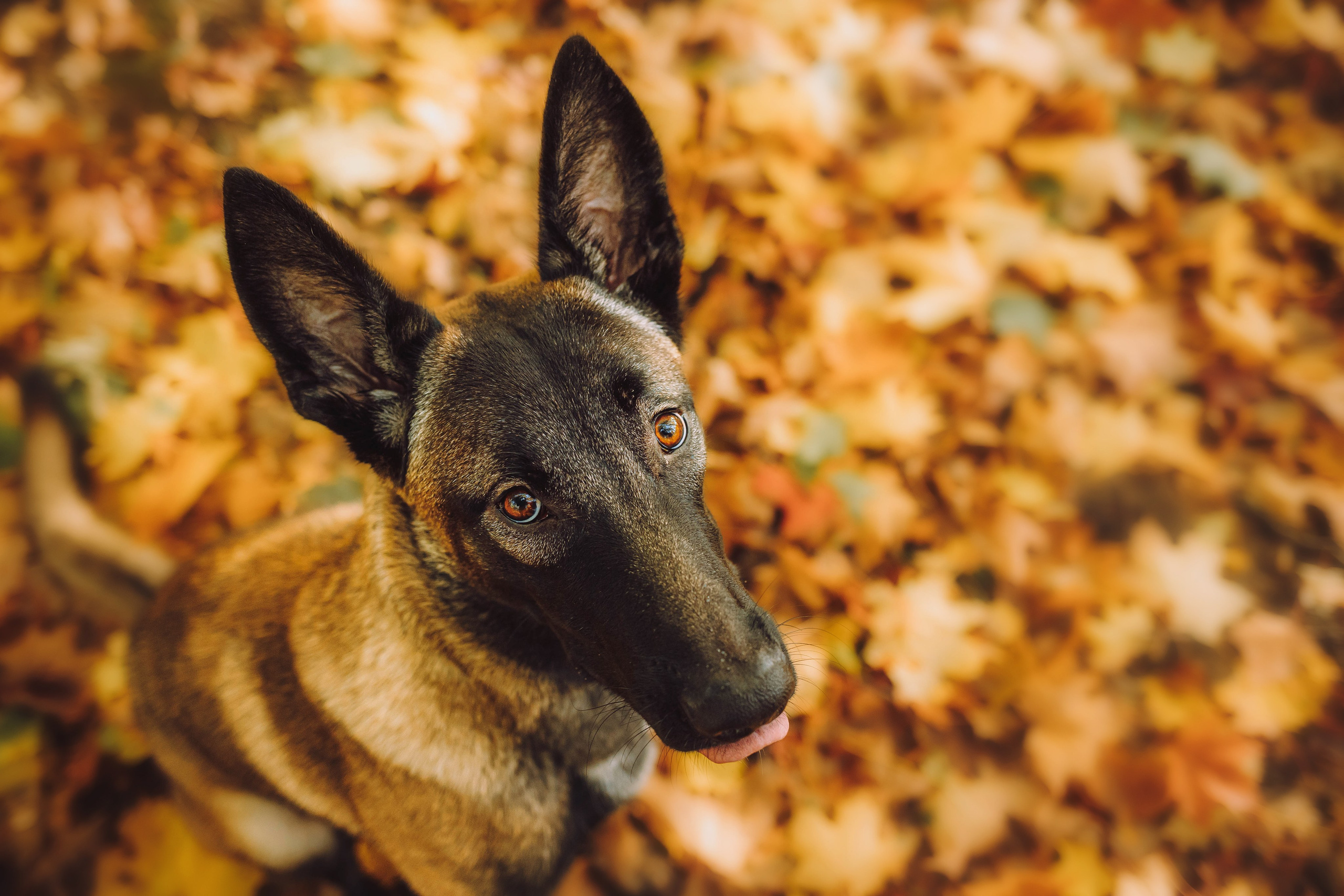 Никита и Ярик