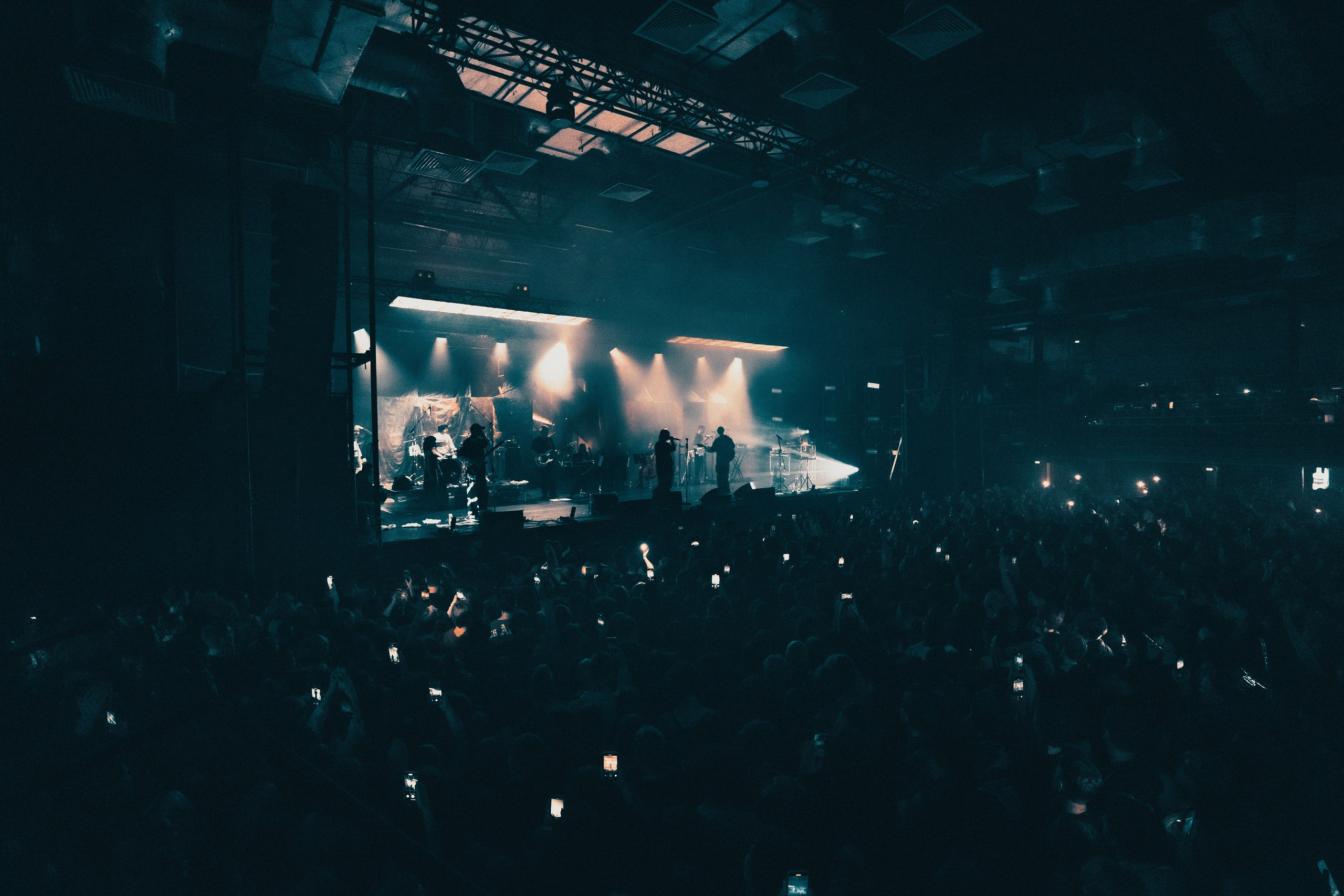 SALUKI. PASHAHARCE PHOTOGRAPHER & VIDEOGRAPHER