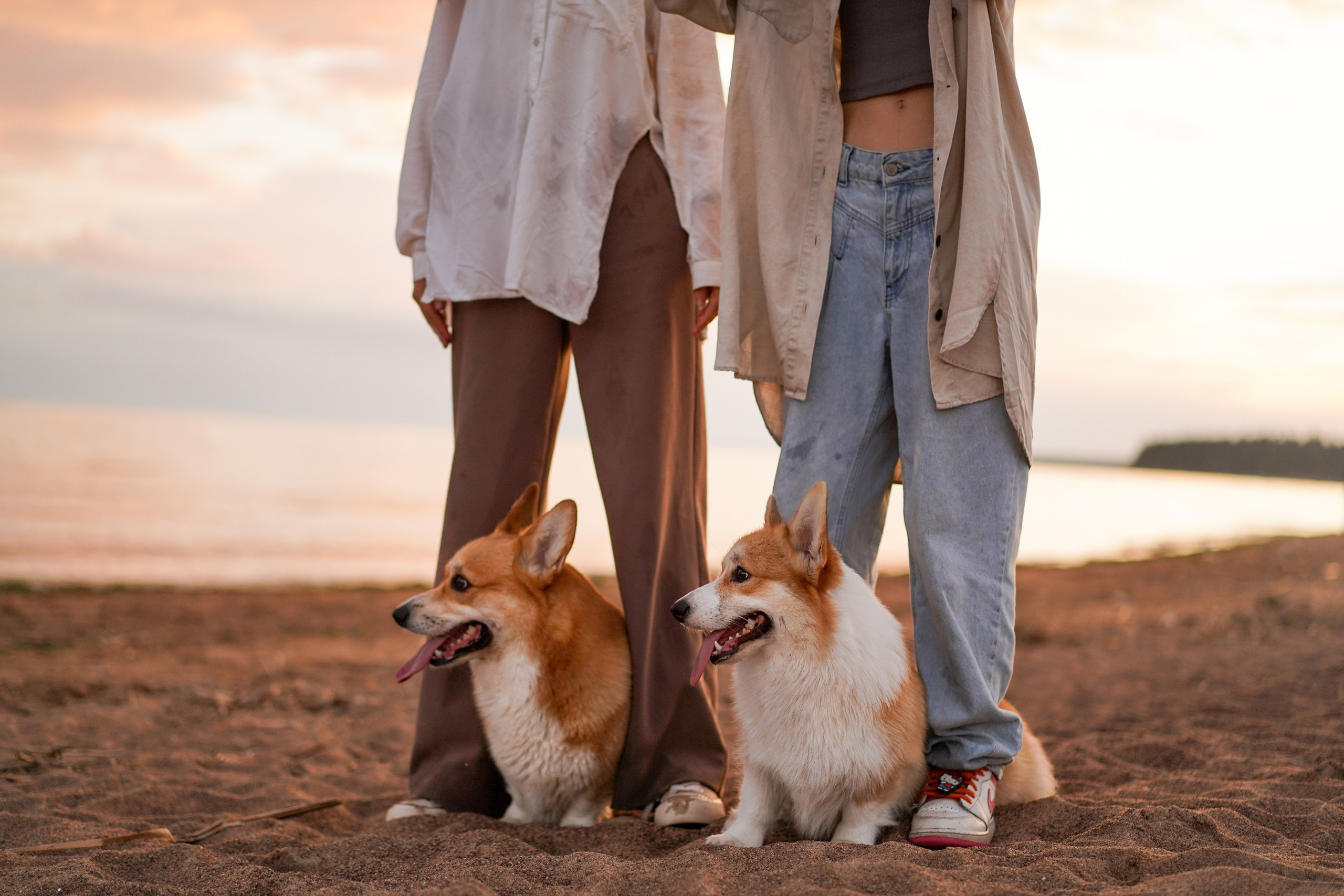 Катя Алиса и коржики. Фотограф-анималист в Санкт-Петербурге Яна Мартынова