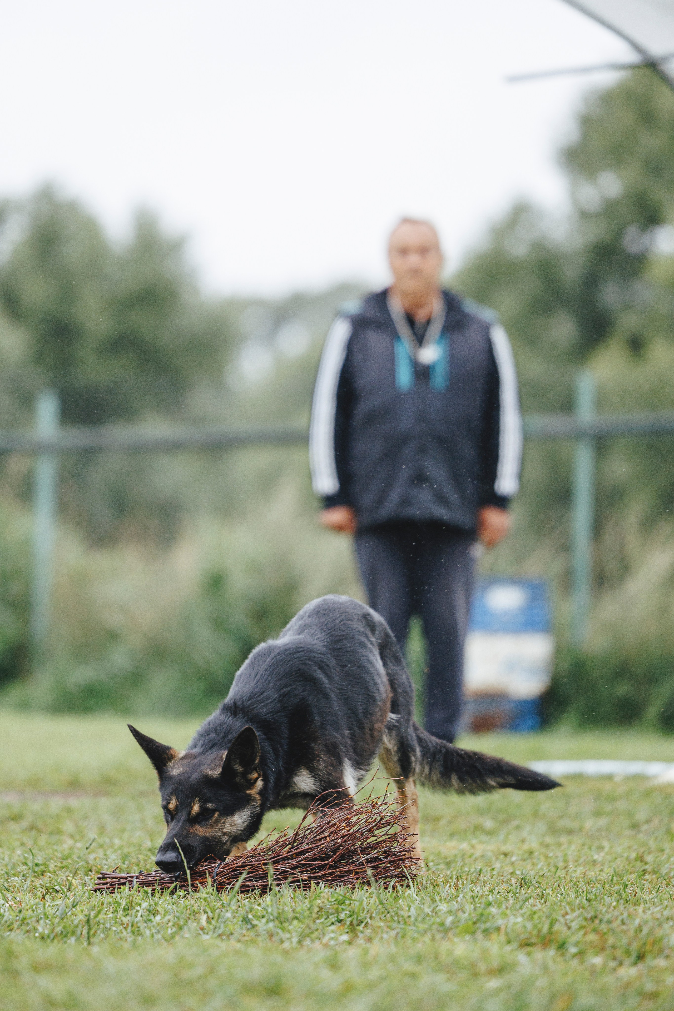 08.08.25-10.08.25 ЧР по мондьорингу г. Вологда. Фотограф-анималист Анна Маринич