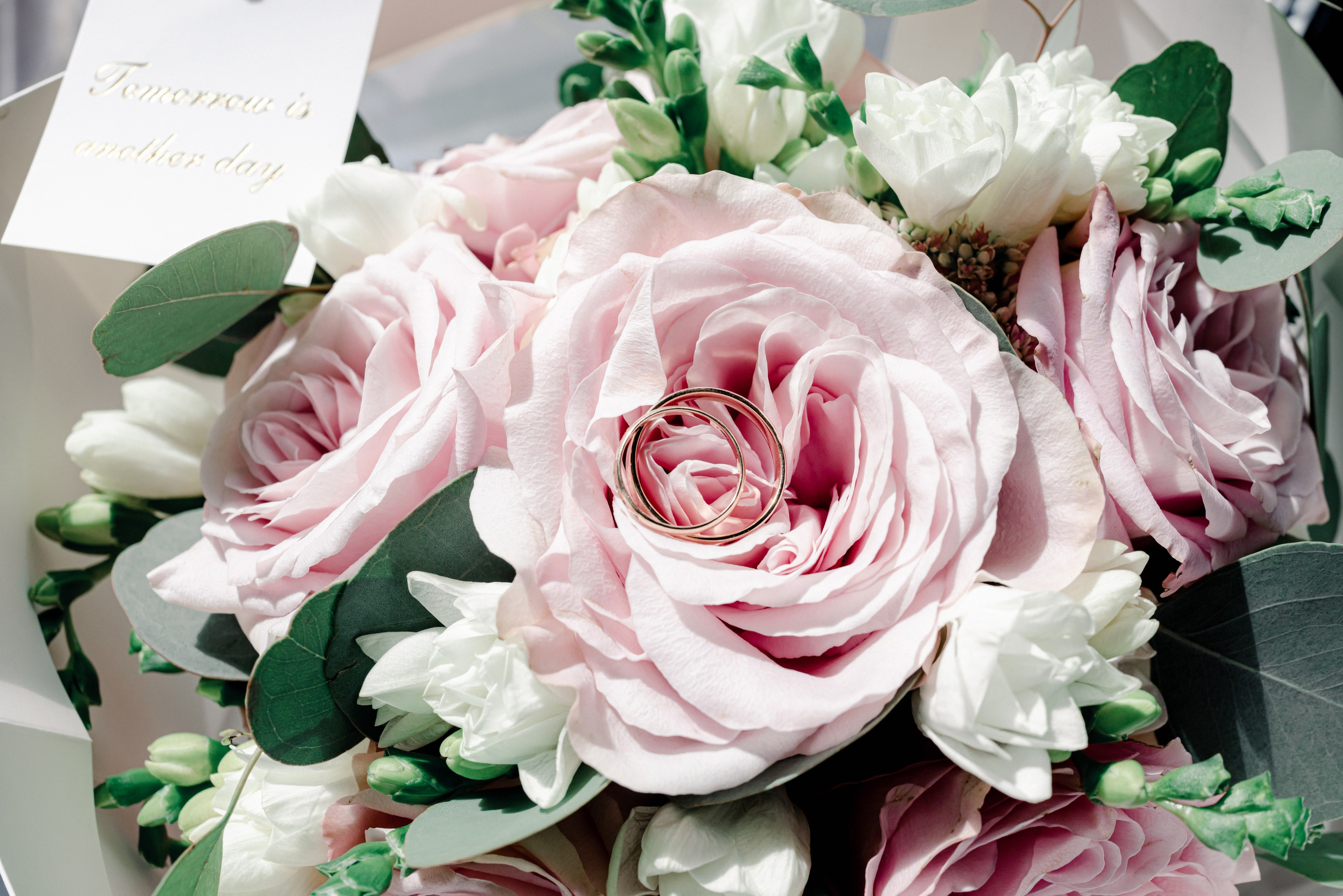 Леонид & Алина. Свадебный и семейный фотограф в Кинеле Евгения Исаева