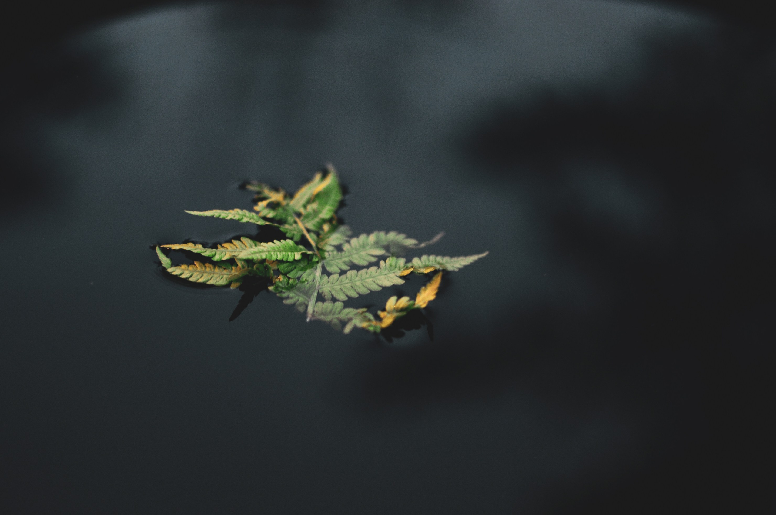 Nature. Anastasia Serdyuk, travel photographer, travel photo, portraits, stories, fineart prints