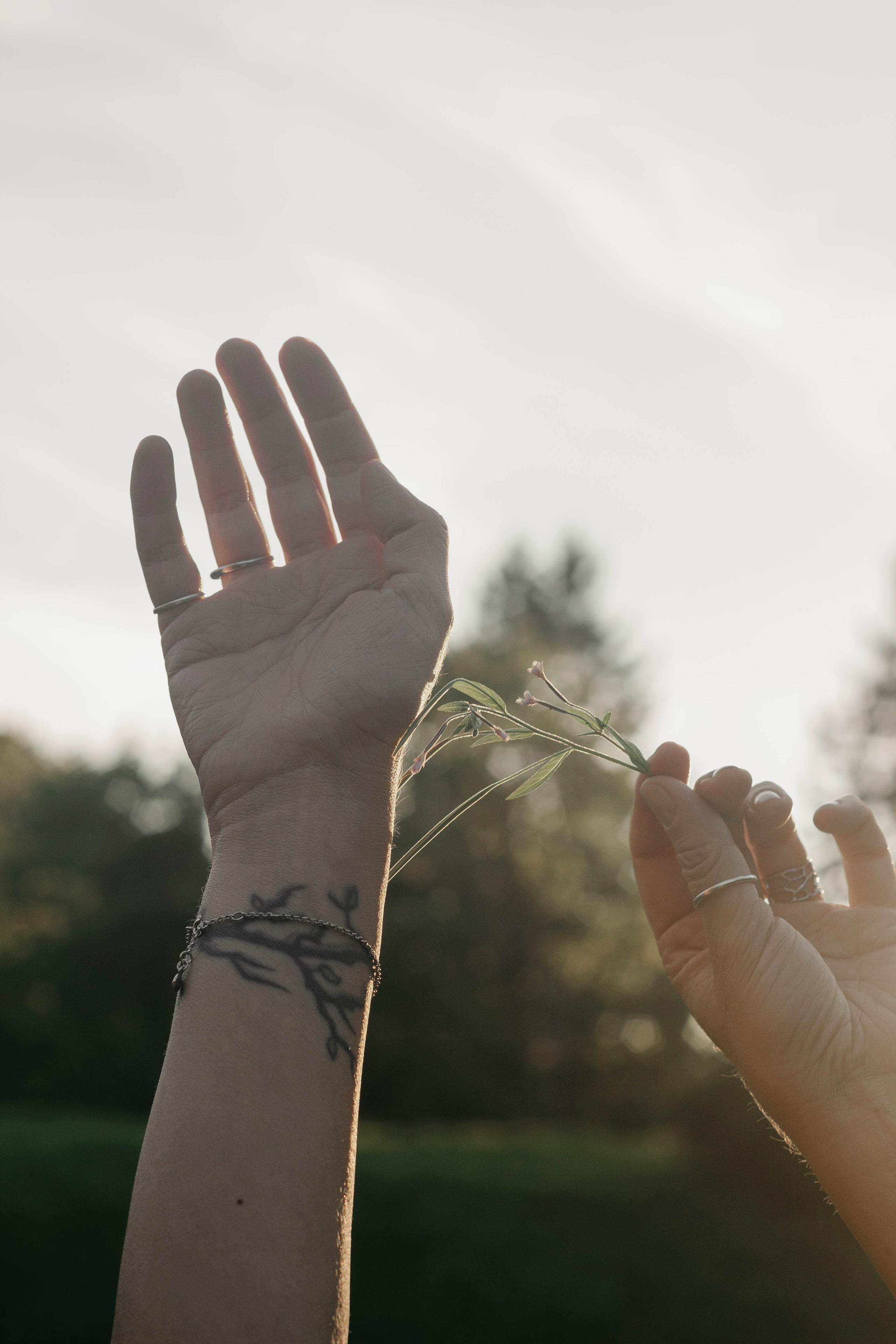Малефисента. Фотограф в Санкт-Петербурге Головина Анастасия