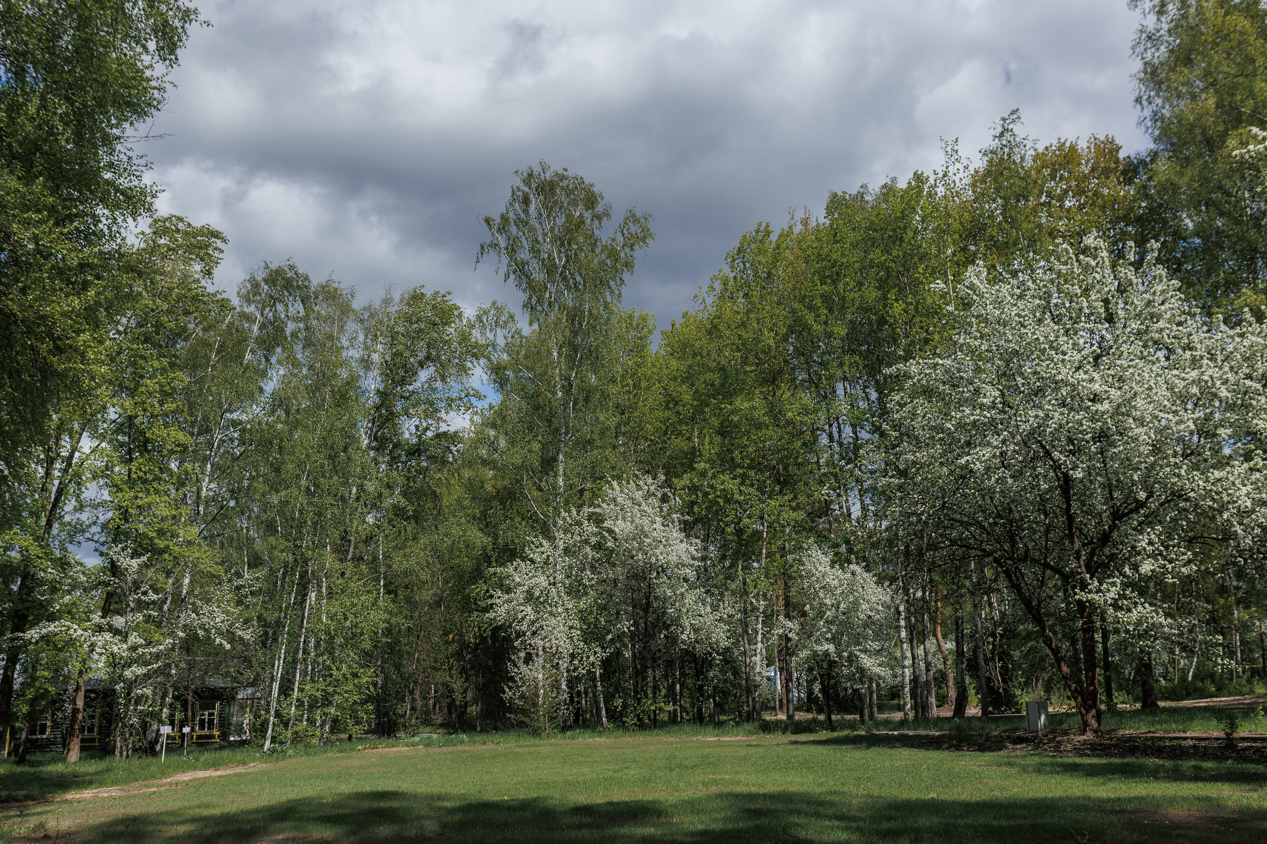 База отдыха «Металлург». Фотограф городских и семейных событий в Нижнем Новгороде Артем Карпухин