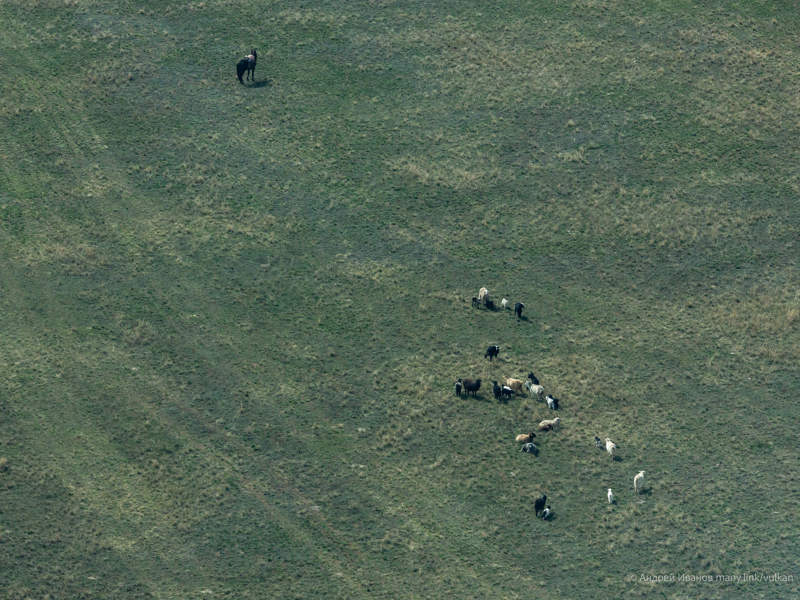 Перелёт на Байконур в 2026 г на самолётах АОН. Фотоальбом показывающий увлекательный мир авиации и мир медведей Андрея Иванова