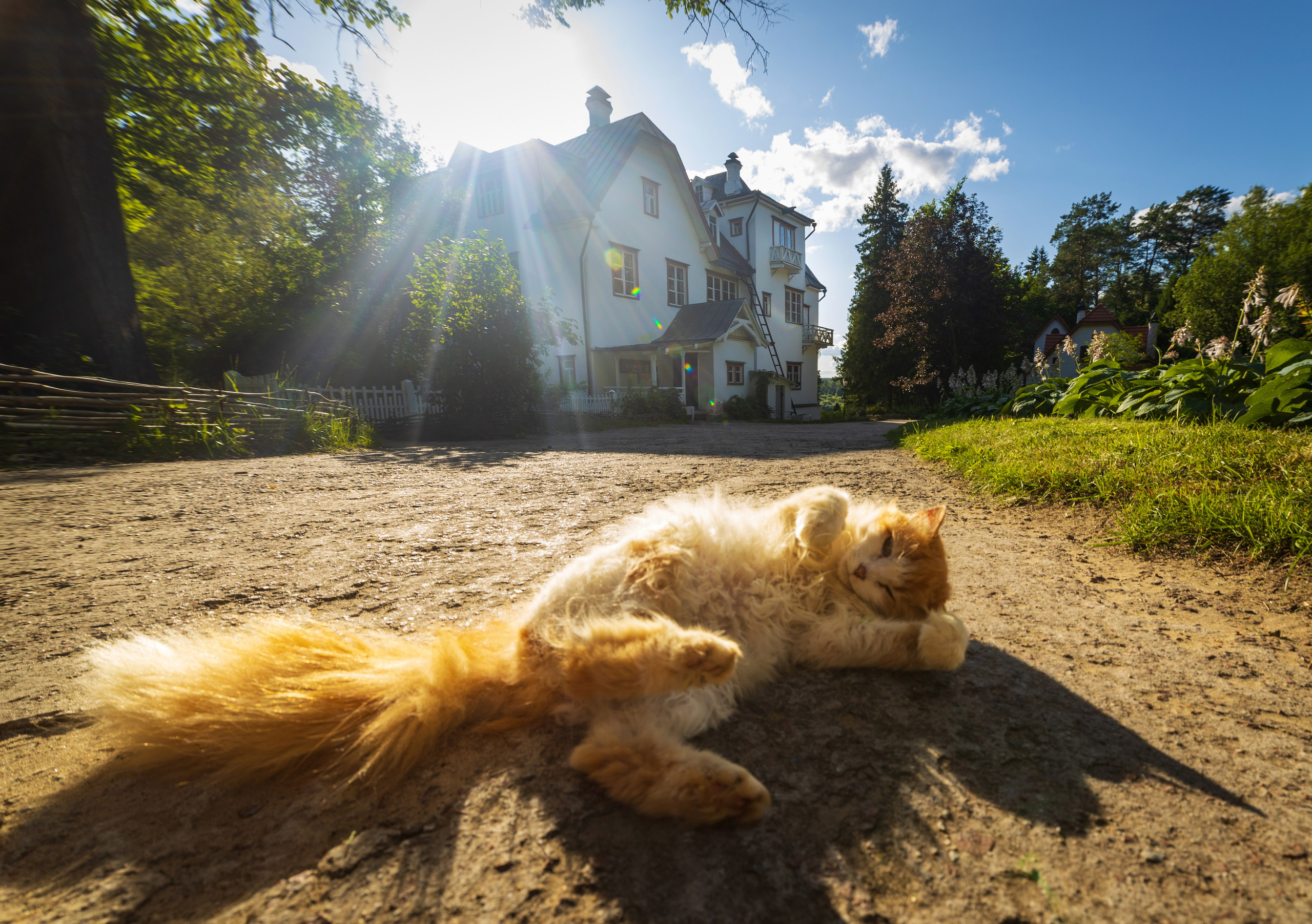 Заокский район. Фотохудожник Артём Парамонов