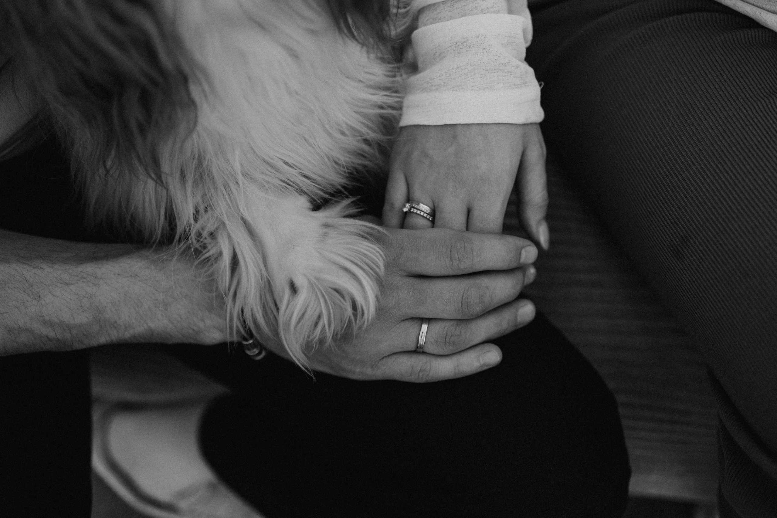 Шерри и ее семья. Фотограф — Анималист | Санкт-Петербург