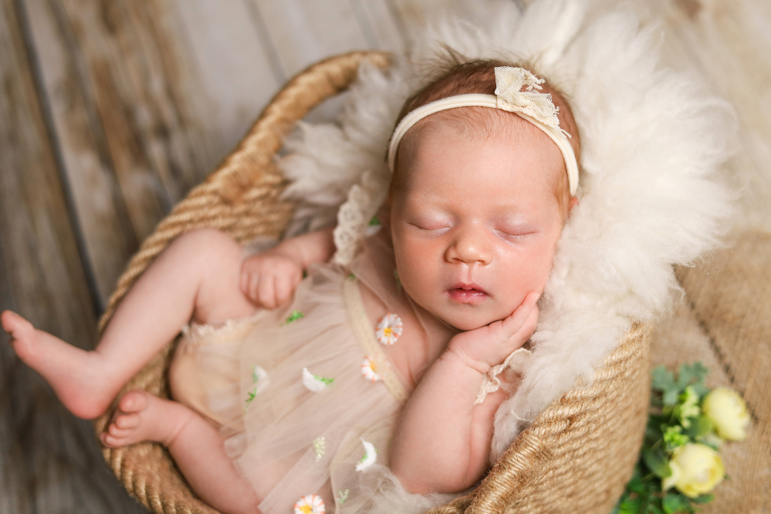 Новорожденные. Фотограф новорожденных Новосибирск