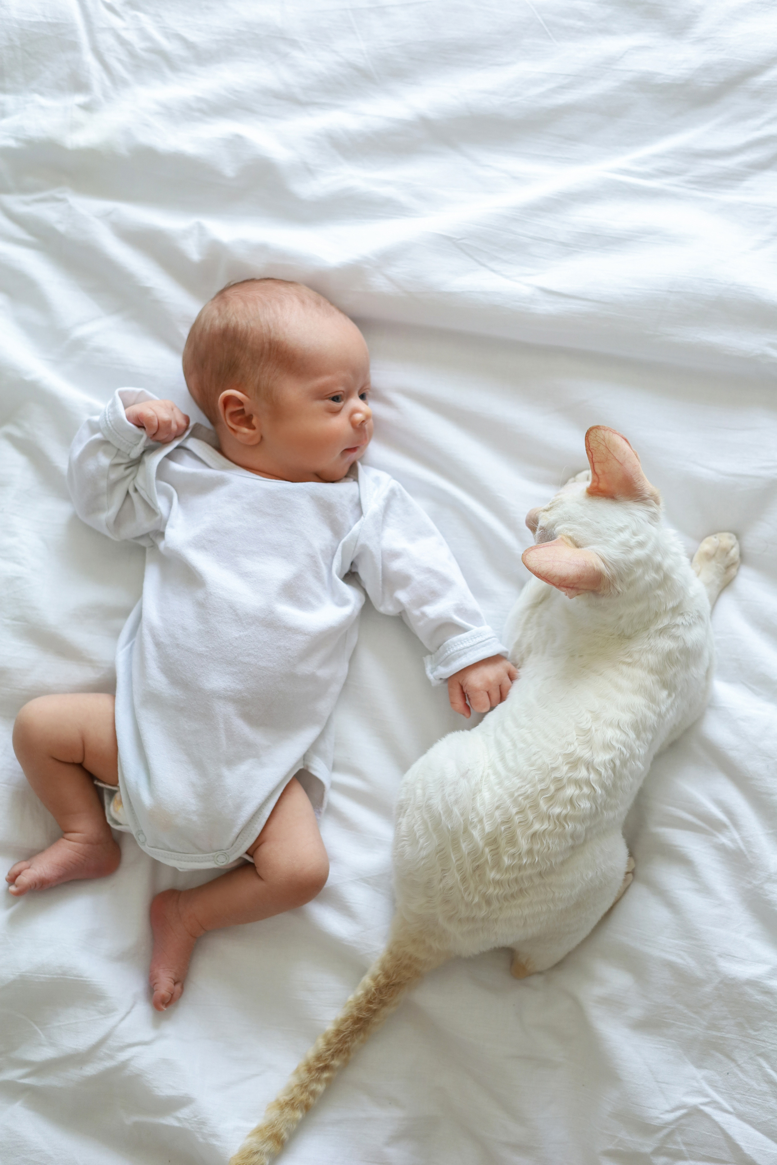 Натуральный. Фотограф новорожденных Новосибирск