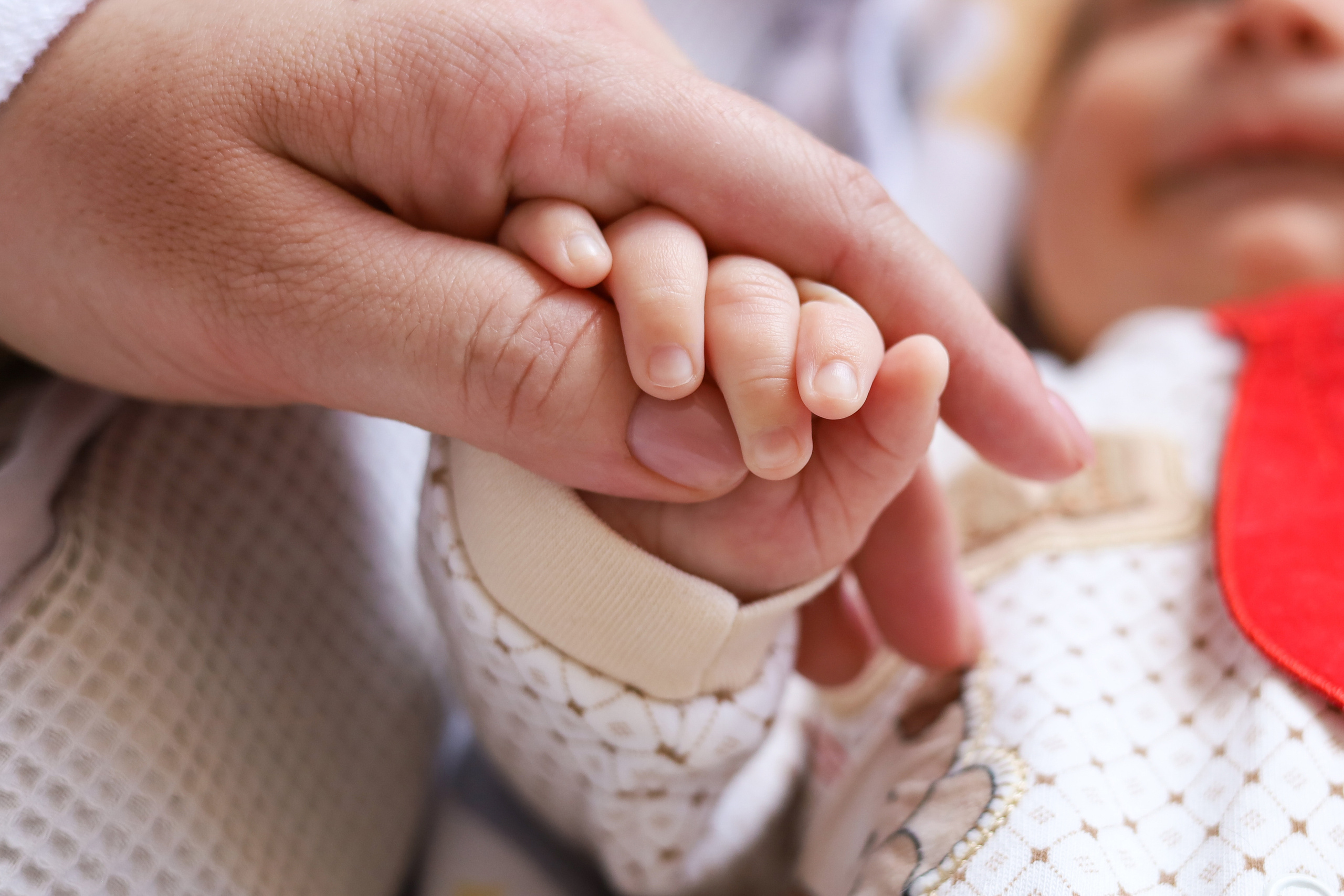 Семейные. Фотограф новорожденных Новосибирск