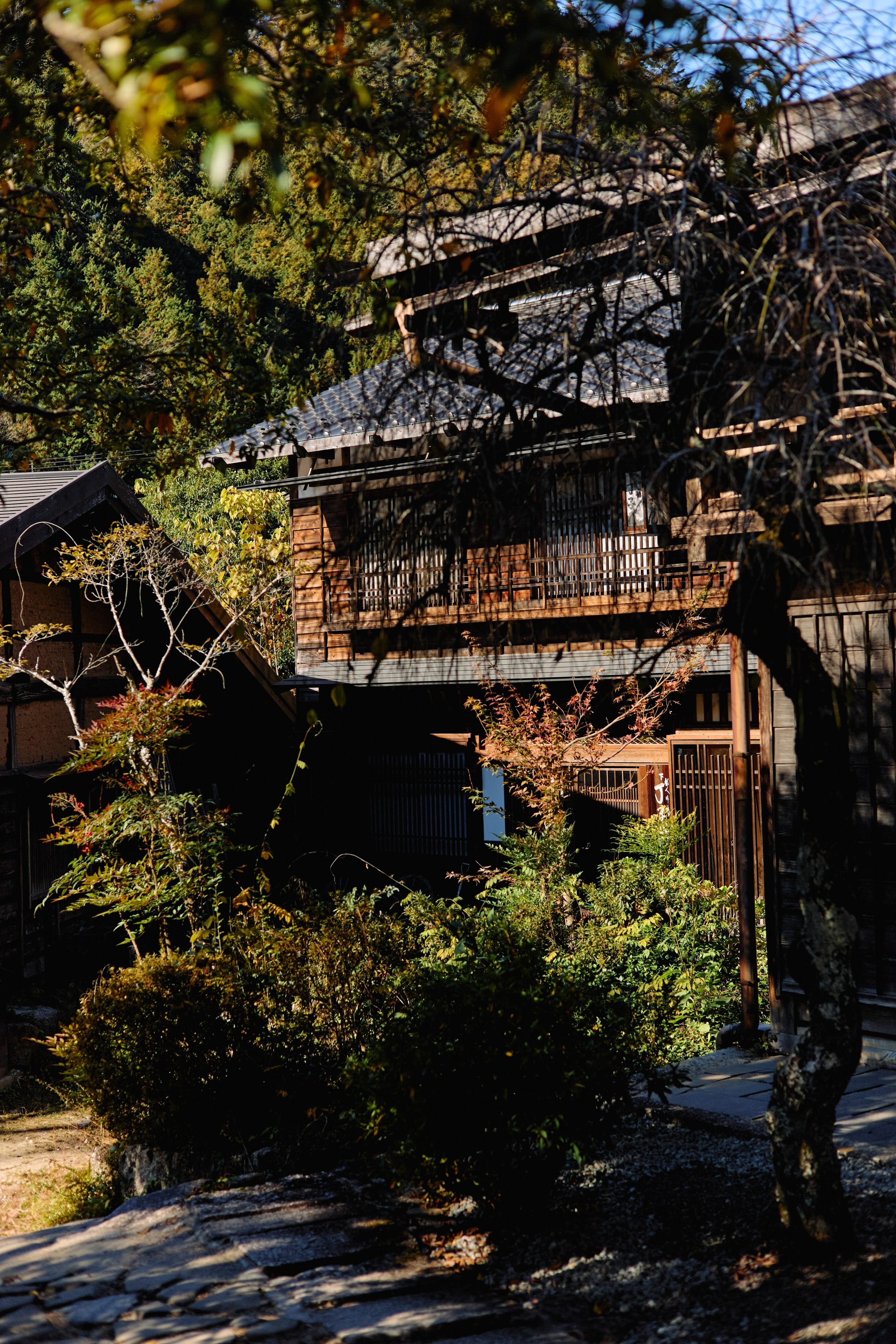 Япония. Профессиональный Фотограф во Владимире, в Москве и в Суздале — Полина Романычева