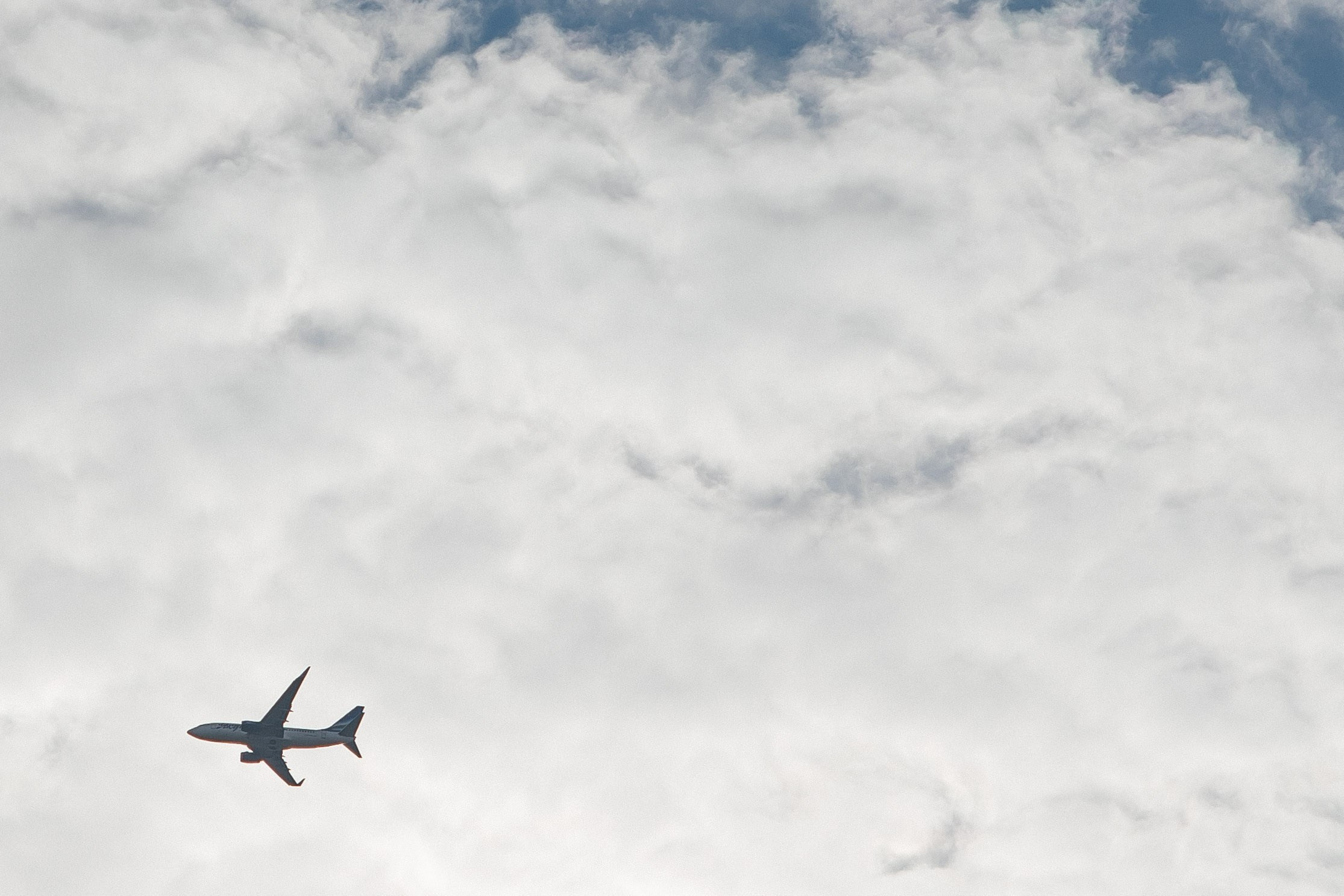 Арслан и Эльвина. Свадебный фотограф Ирнис Дильмухаметов